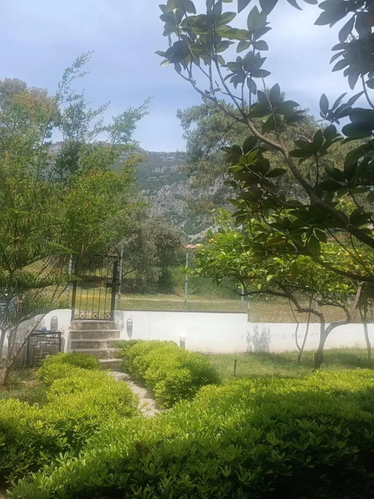 Garden in SUMMER OTEL Garden in SUMMER OTEL