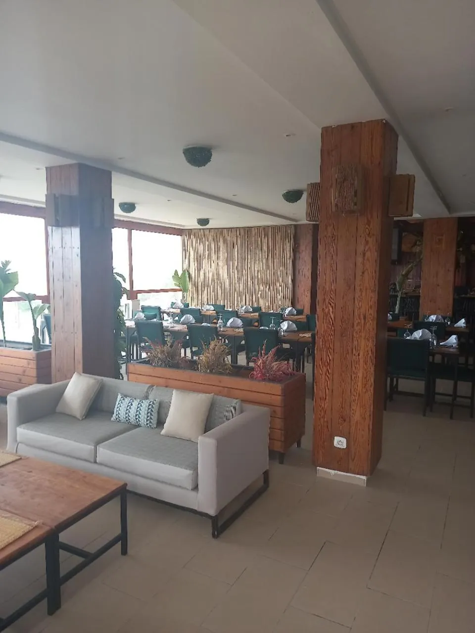 Lounge or bar in Amber El Fell