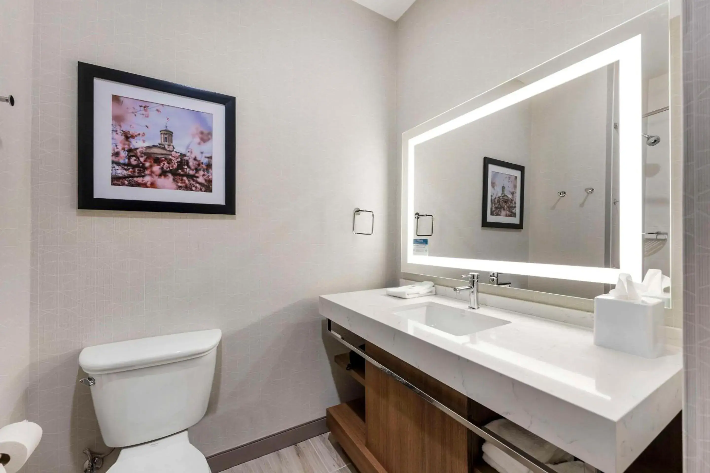 Bedroom in Comfort Inn & Suites Gallatin - Nashville Metro Bedroom in Comfort Inn & Suites Gallatin - Nashville Metro