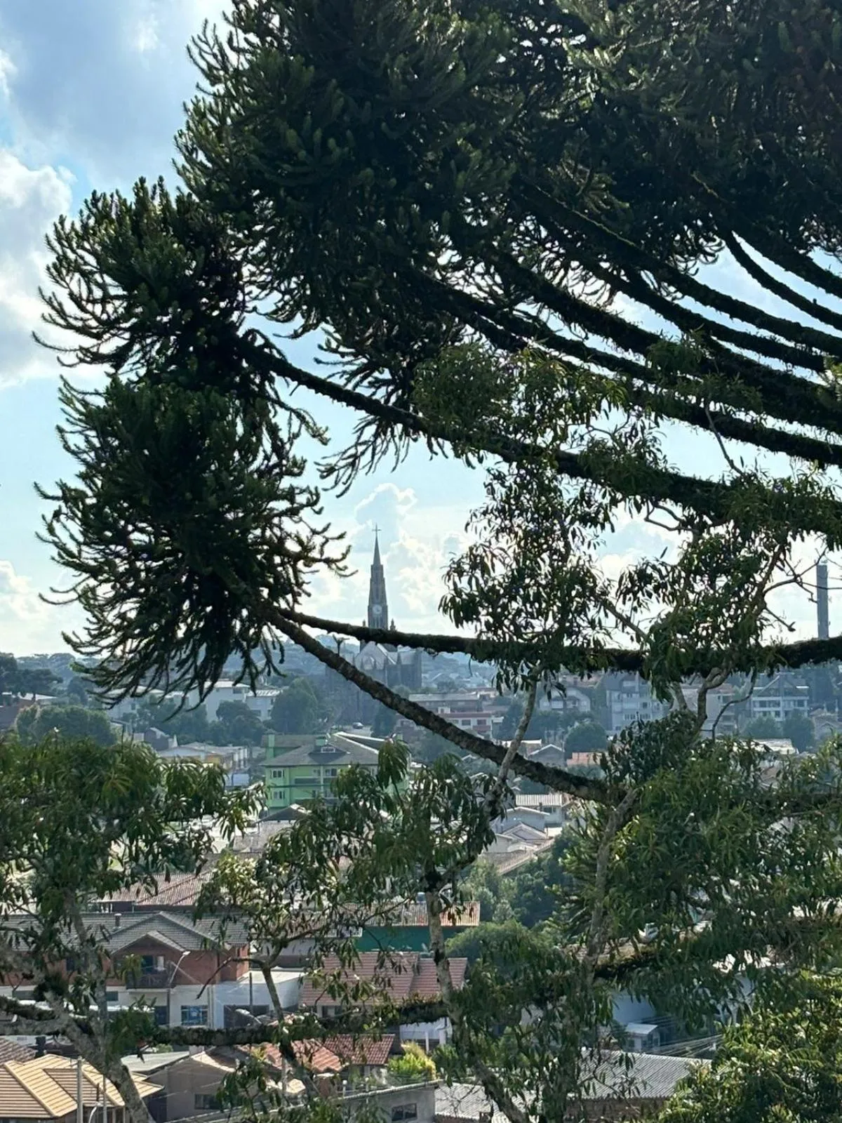 City view in Hotel Golden Hills