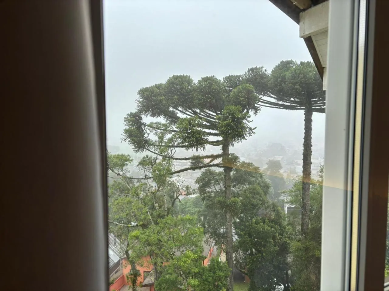 View (from property/room) in Hotel Golden Hills