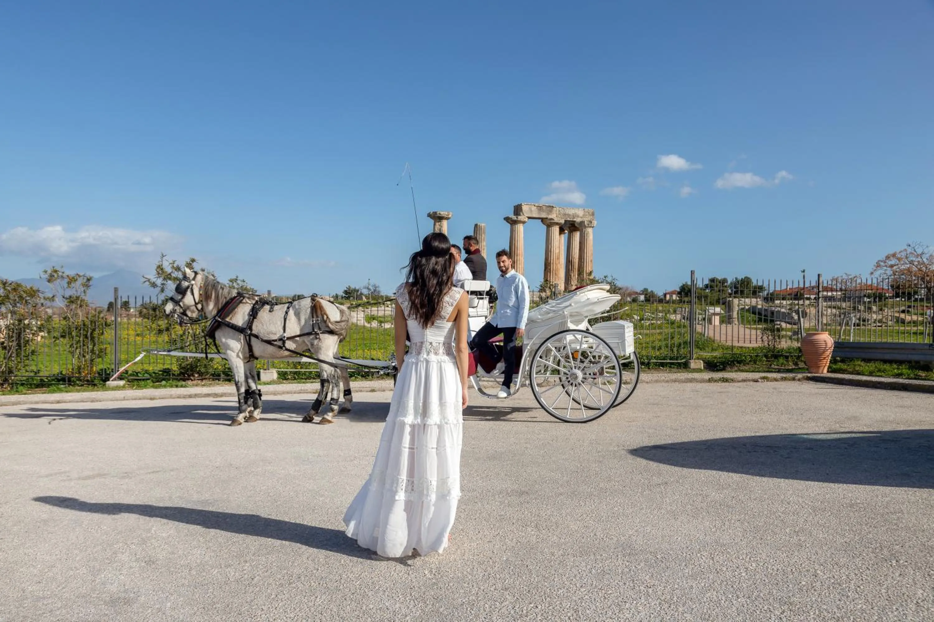 Day in Octavia Rooms