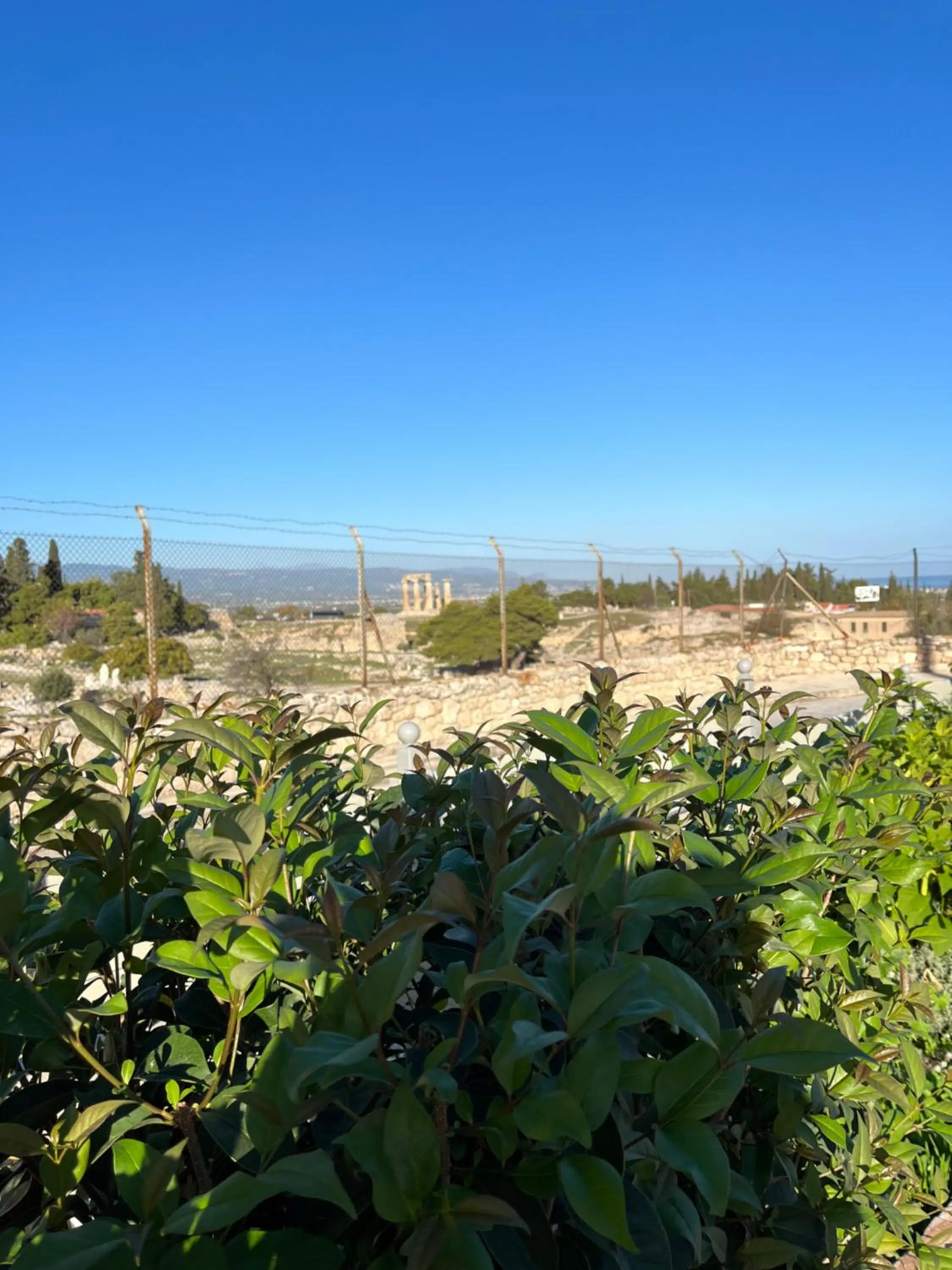 Natural landscape in Octavia Rooms