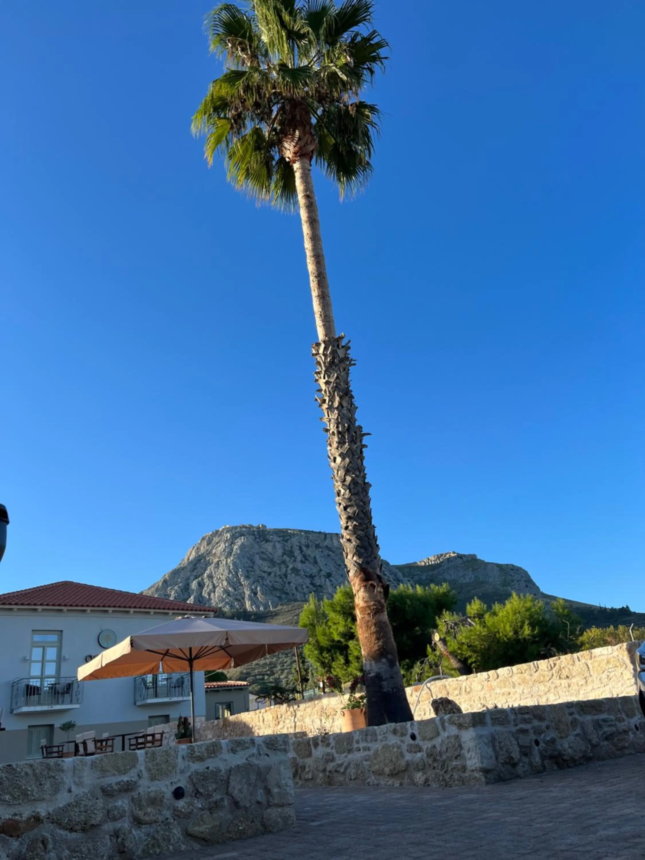 Property building in Octavia Rooms