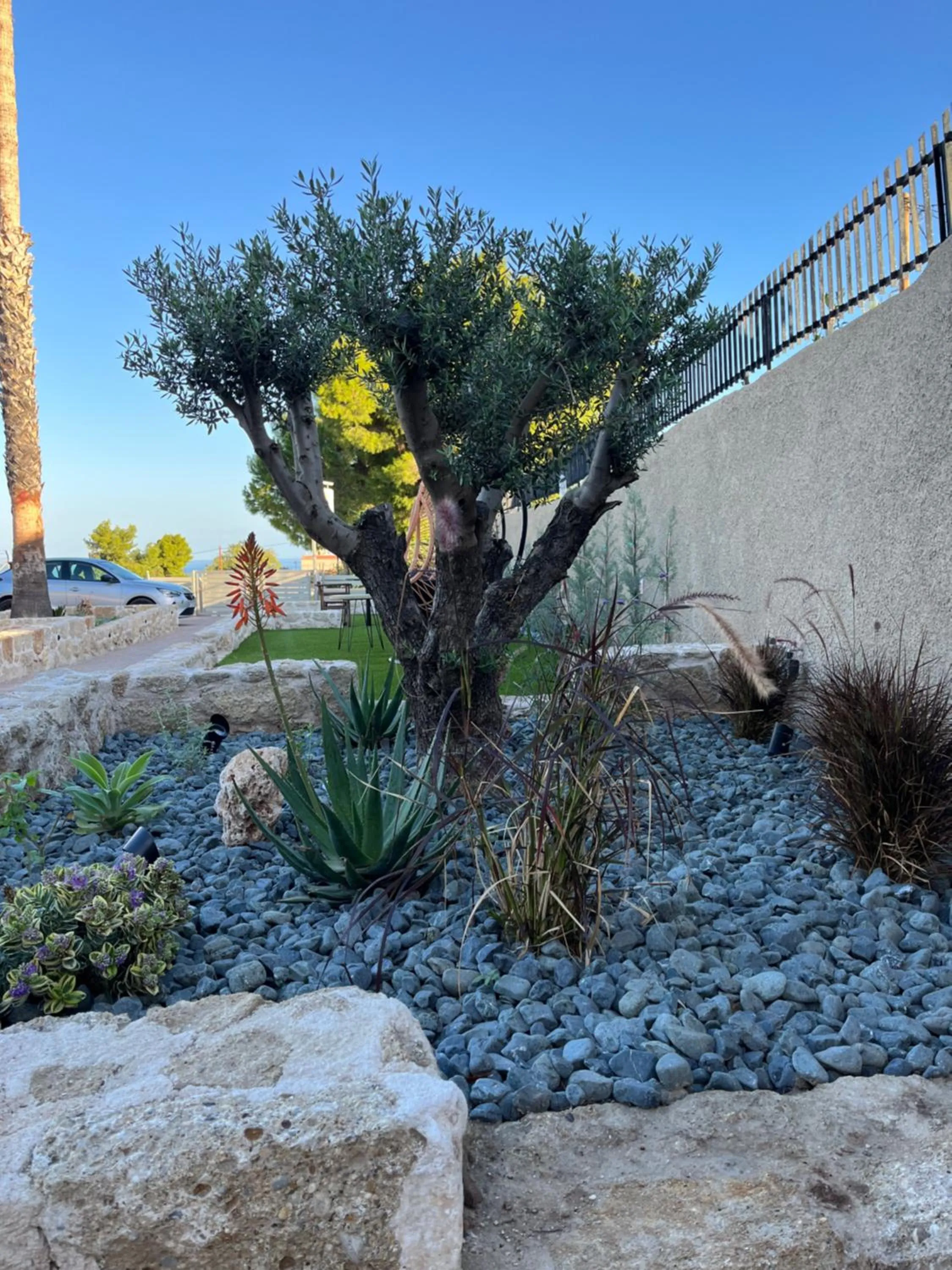 Spring in Octavia Rooms