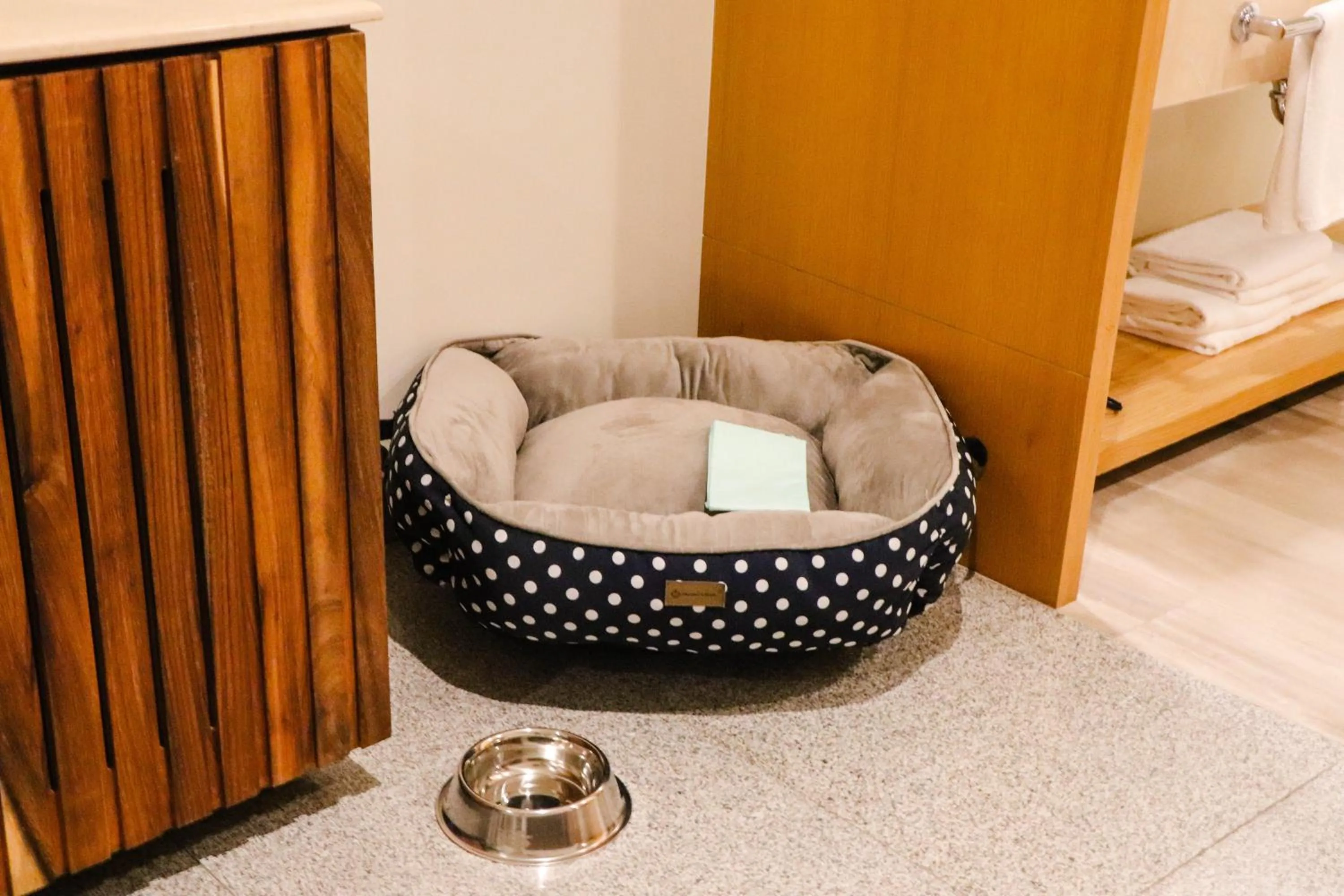 Animals, Bed in Hotel Mio Riviera Nayarit - Adults Only