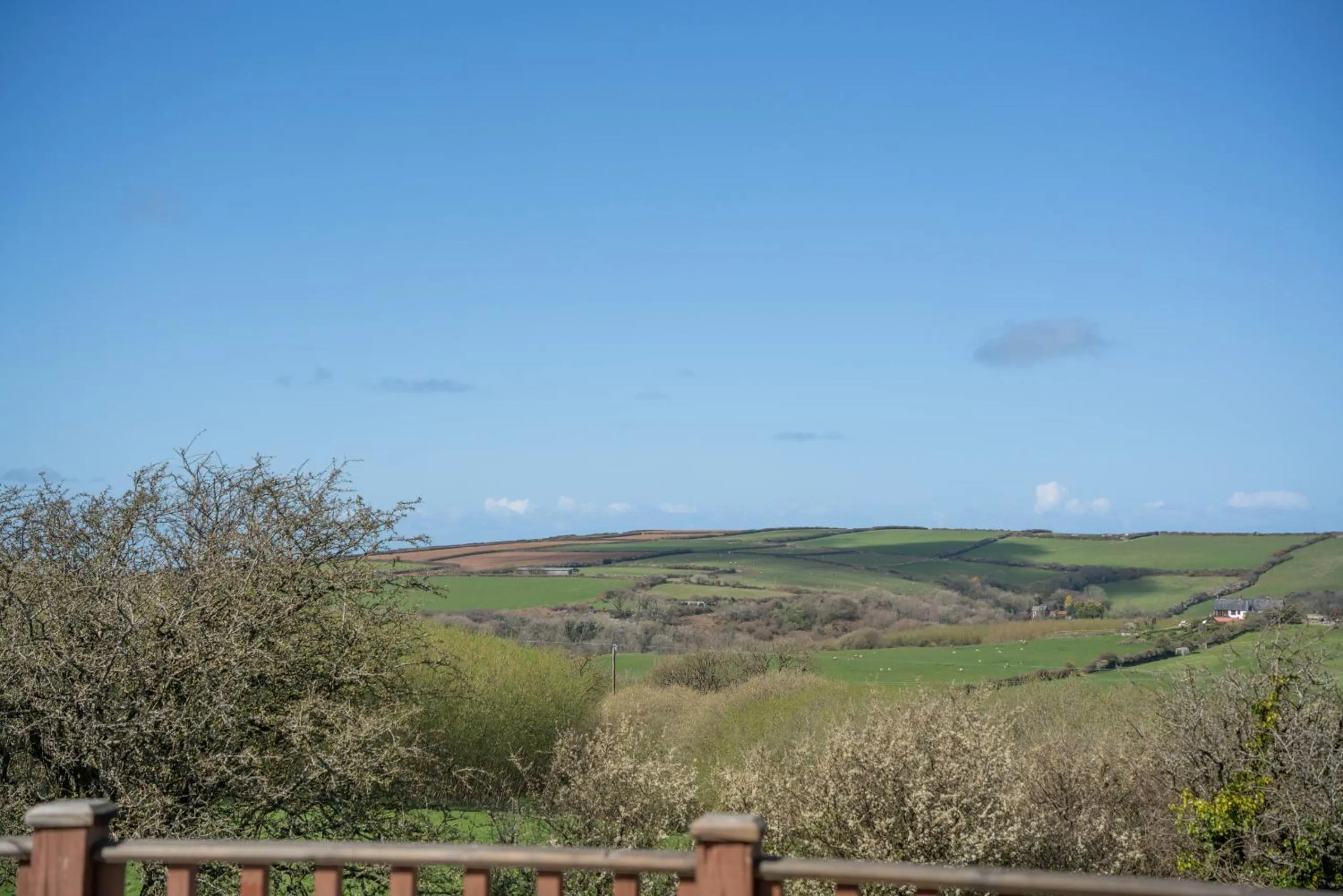 View (from property/room) in 4 Meadow View Lodge - 2 Bed-sleeps 4-TJS4MV
