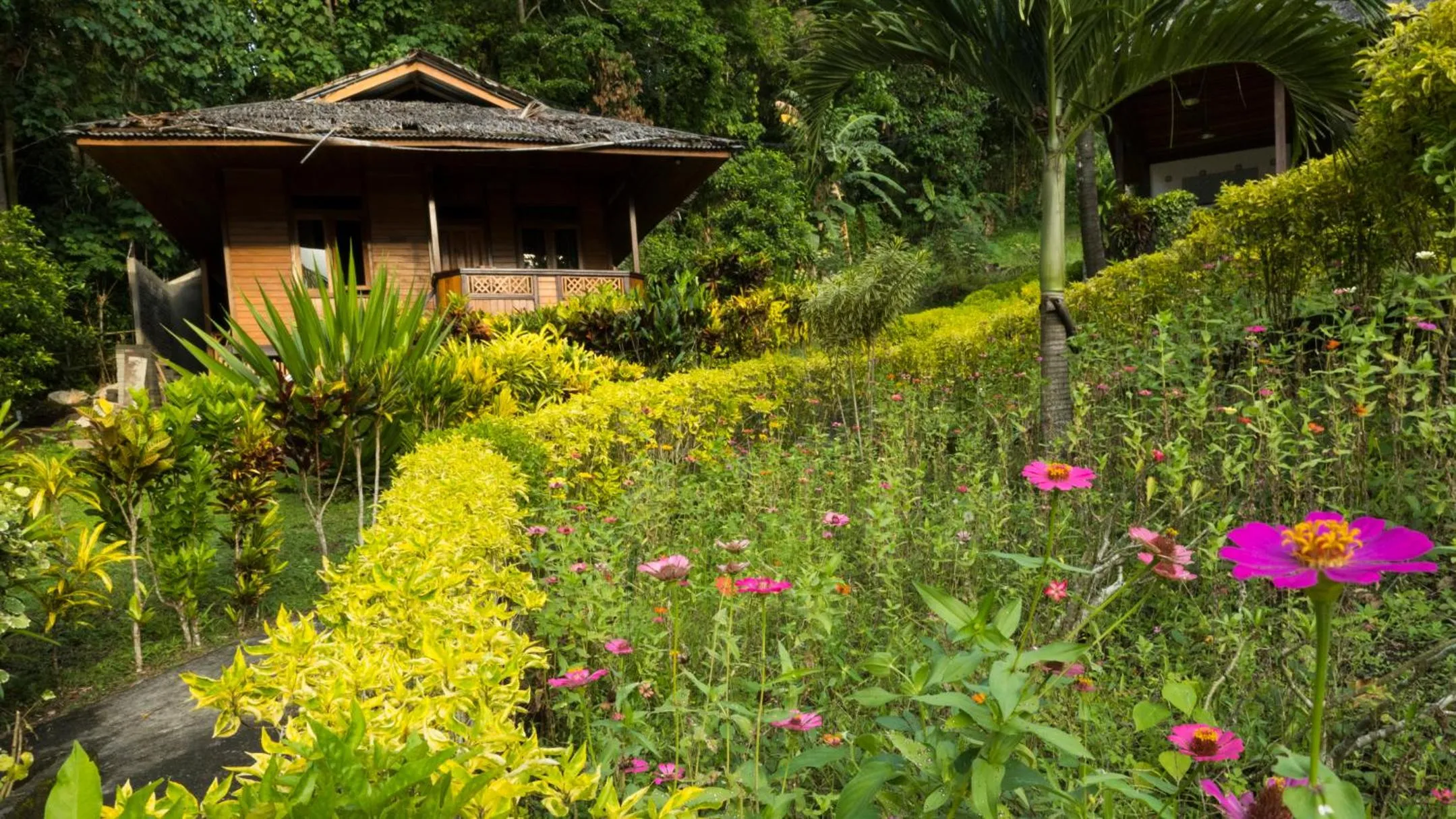 Garden view in K2 Lembeh Dive Resort