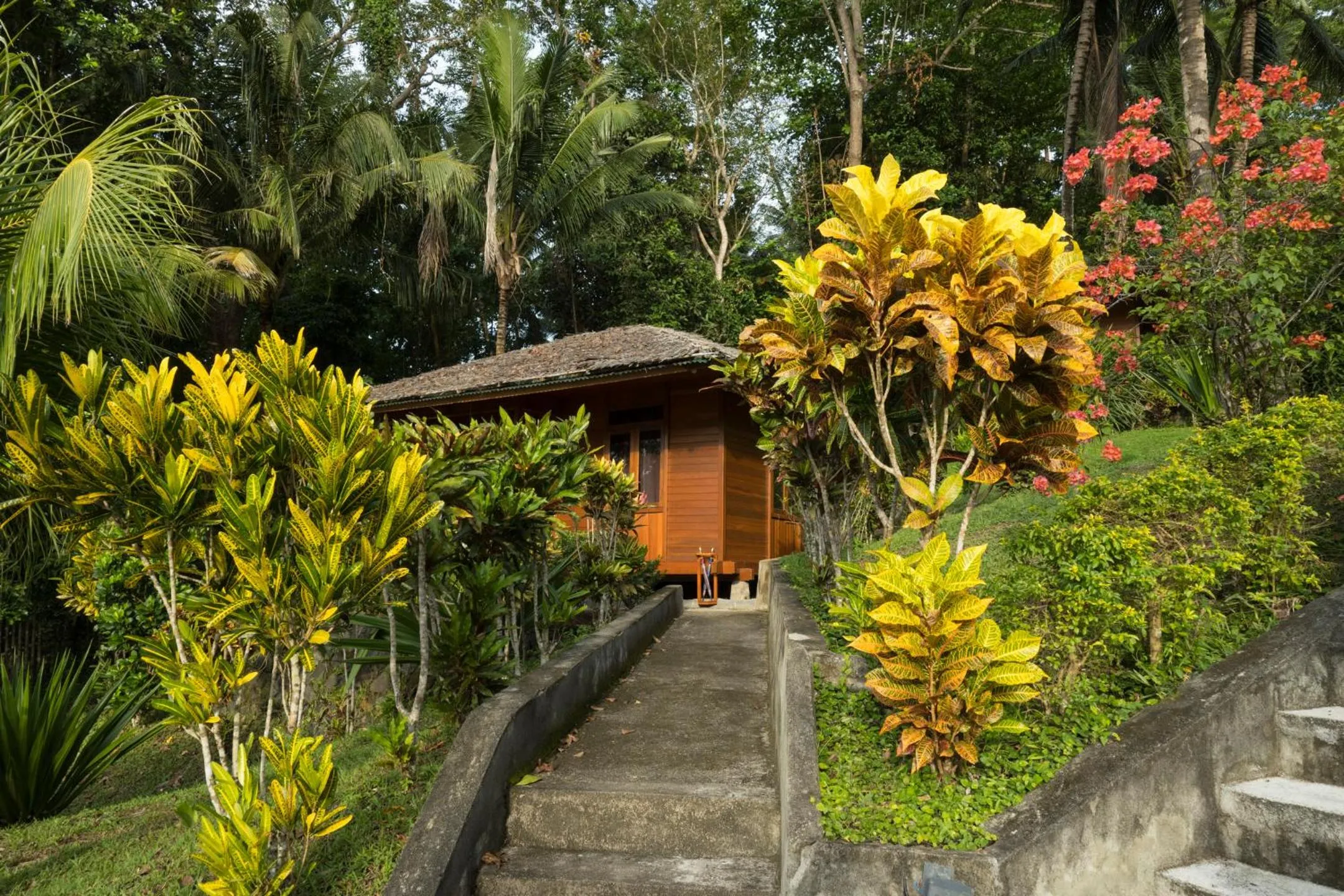 Garden view in K2 Lembeh Dive Resort
