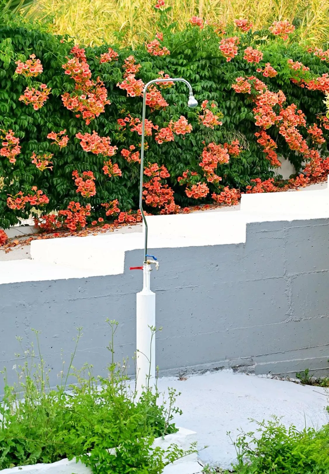 Garden in Karmik Concept Apartments