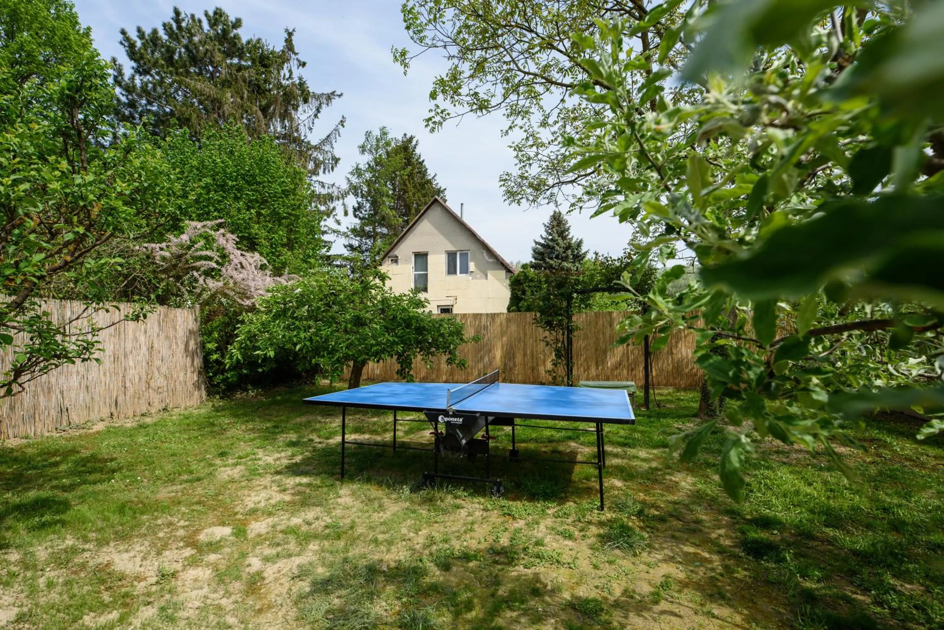 Garden in Emili Apartman Ráckeve