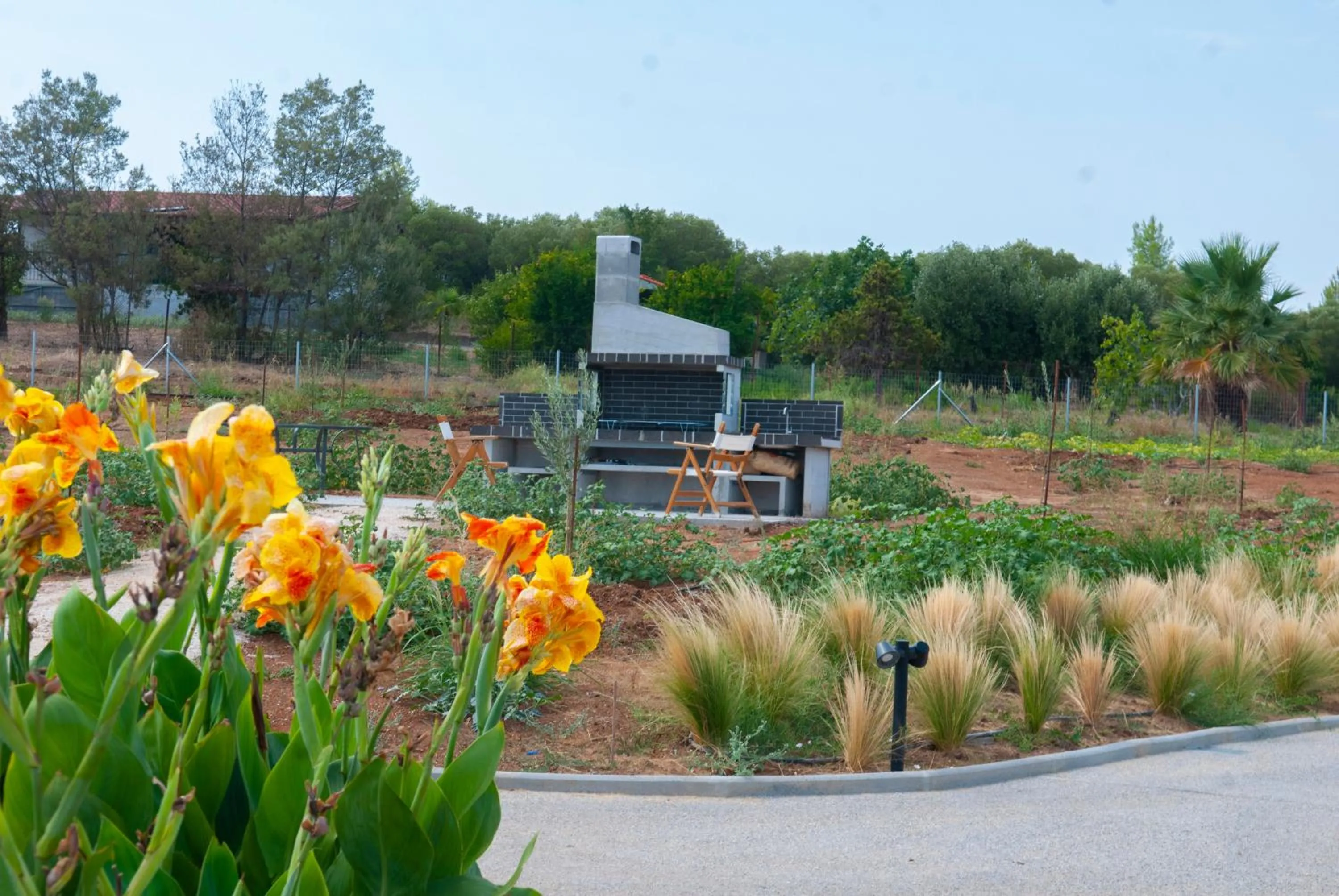 BBQ facilities in Aurora Suites