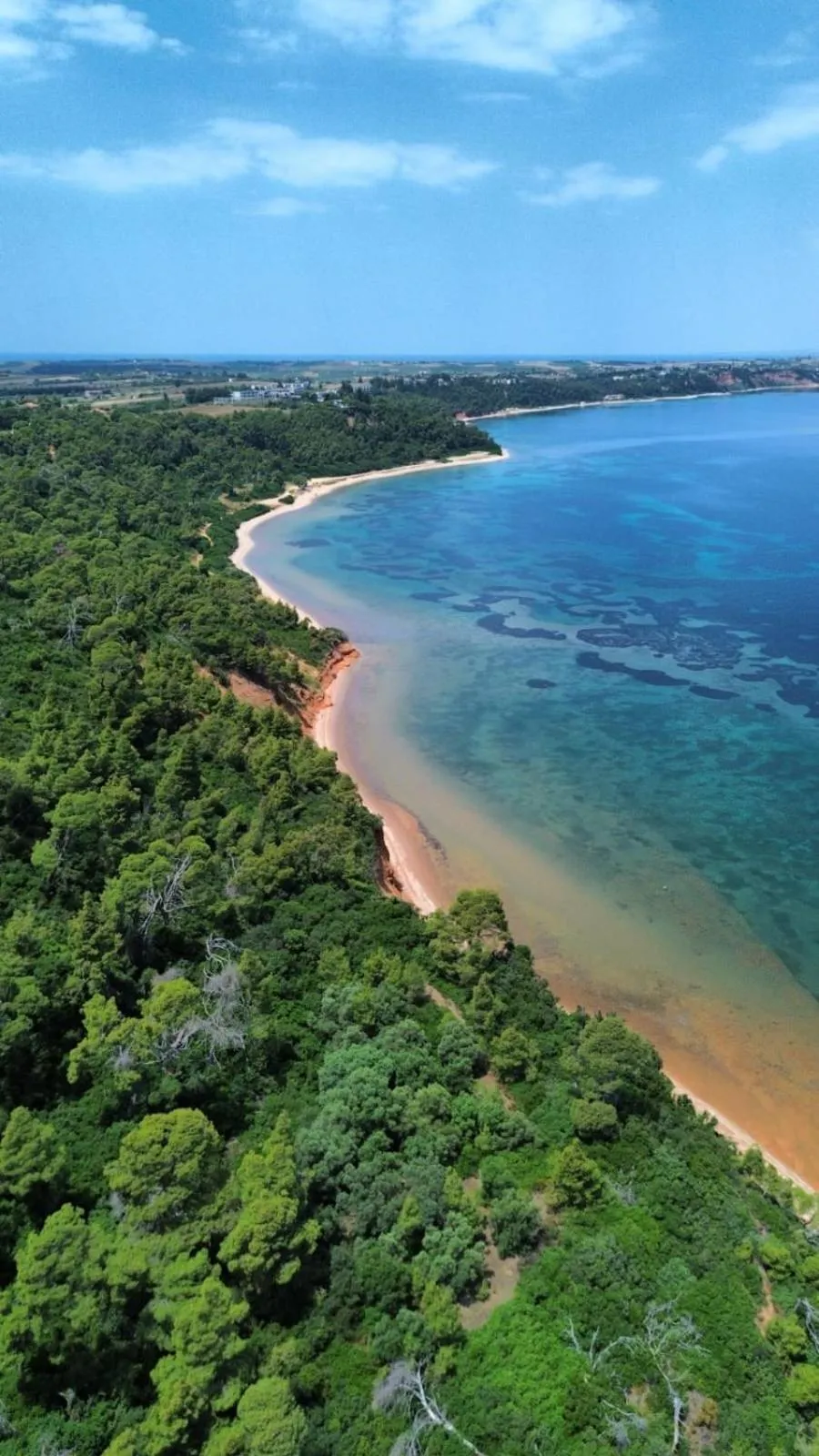 Beach in Aurora Suites