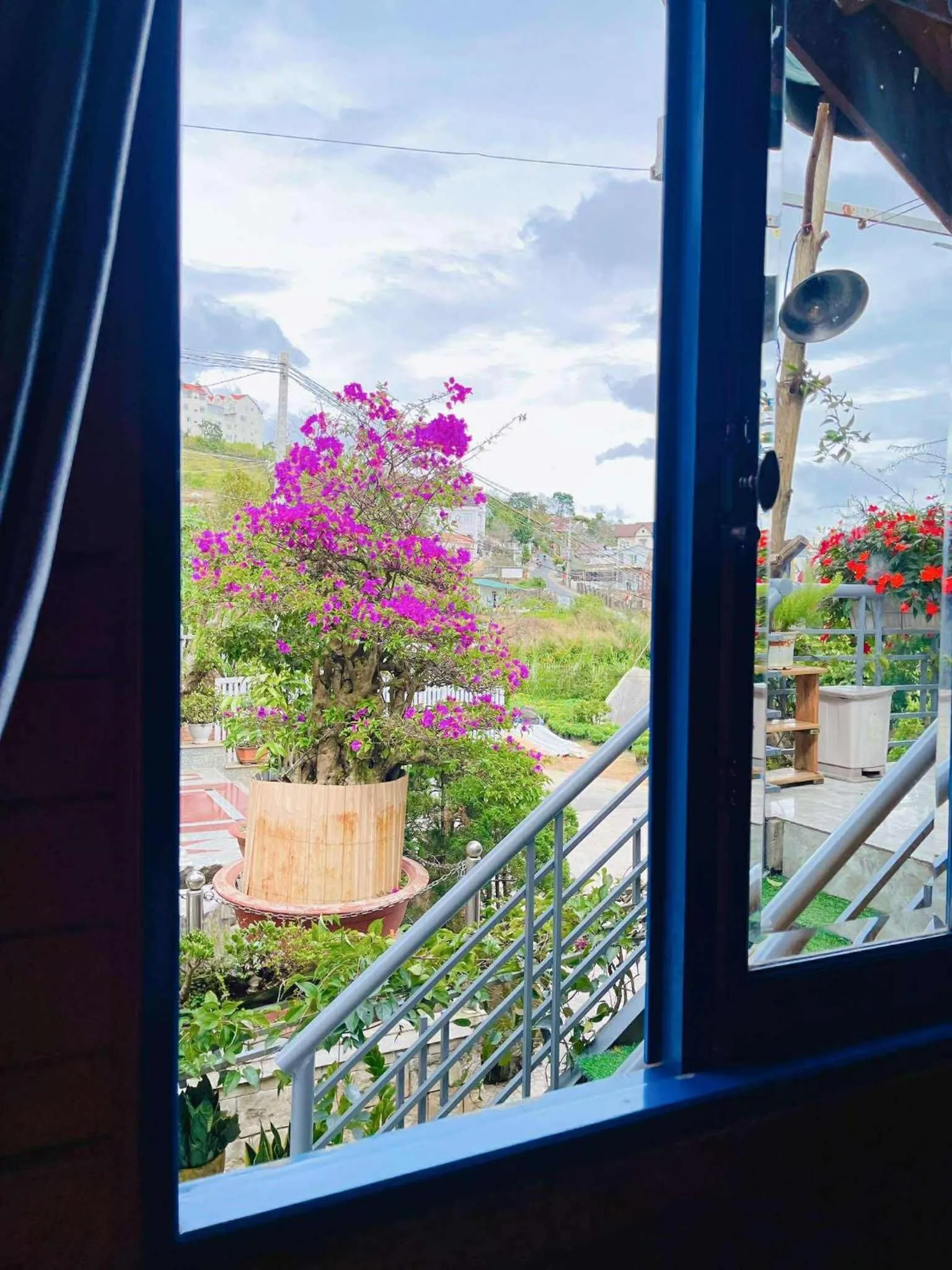 Garden view in Tomorrow Homestay Đà Lạt