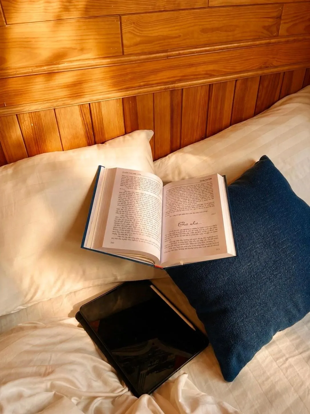 Bed in Tomorrow Homestay Đà Lạt