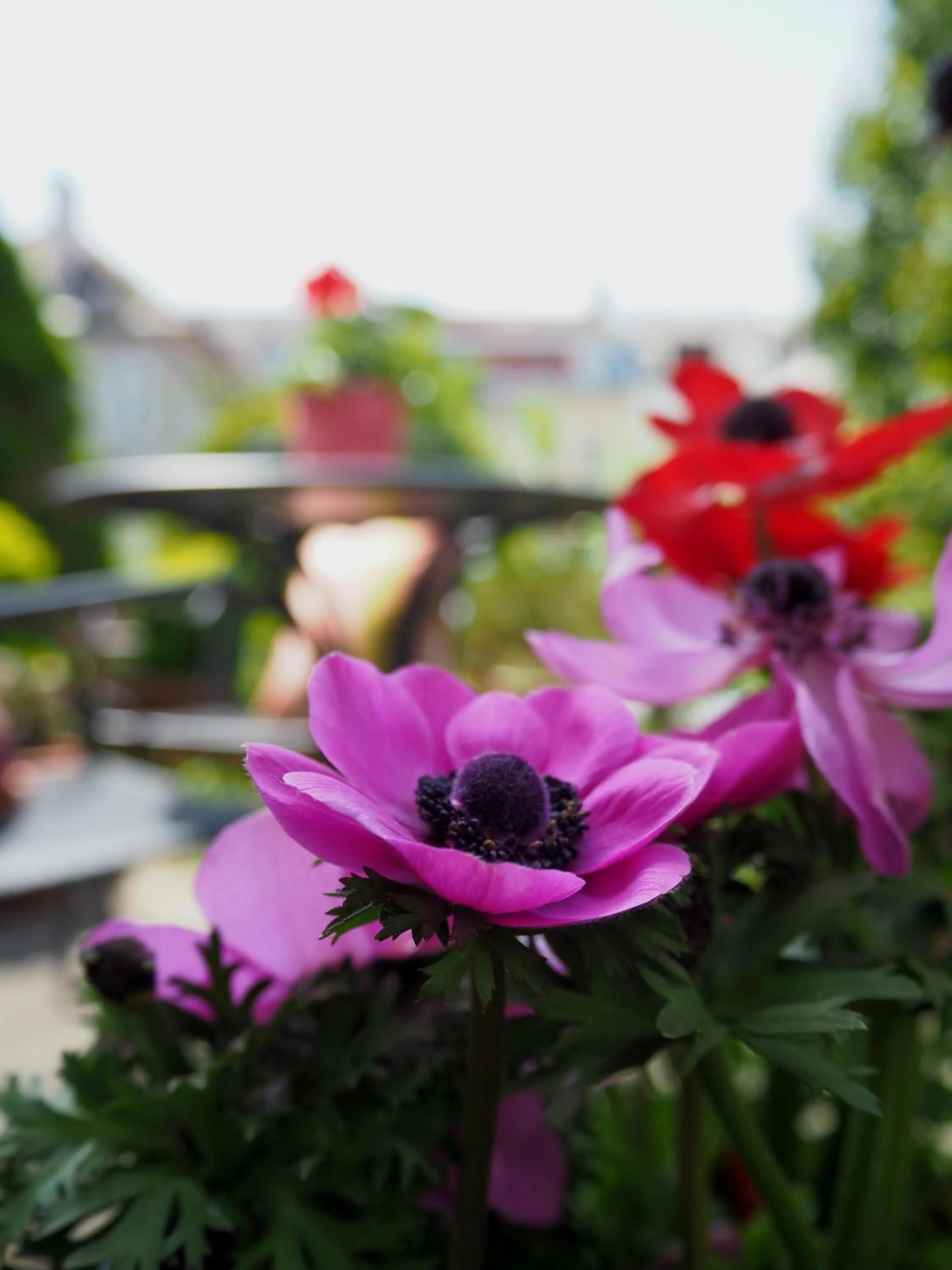 Das Altschwabing - Munich Boutique Hotel