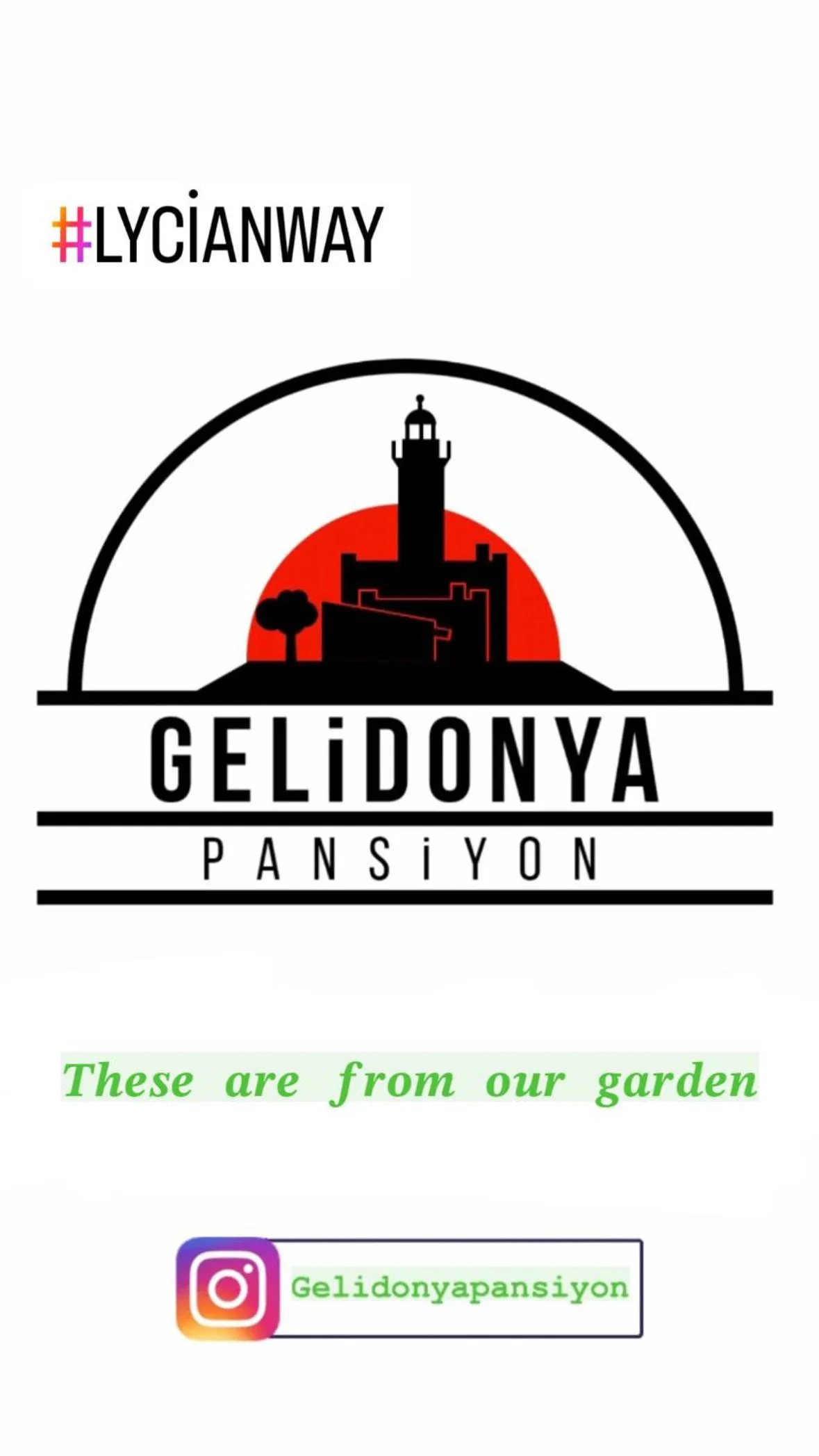 Property logo or sign in Gelidonya Pansiyon