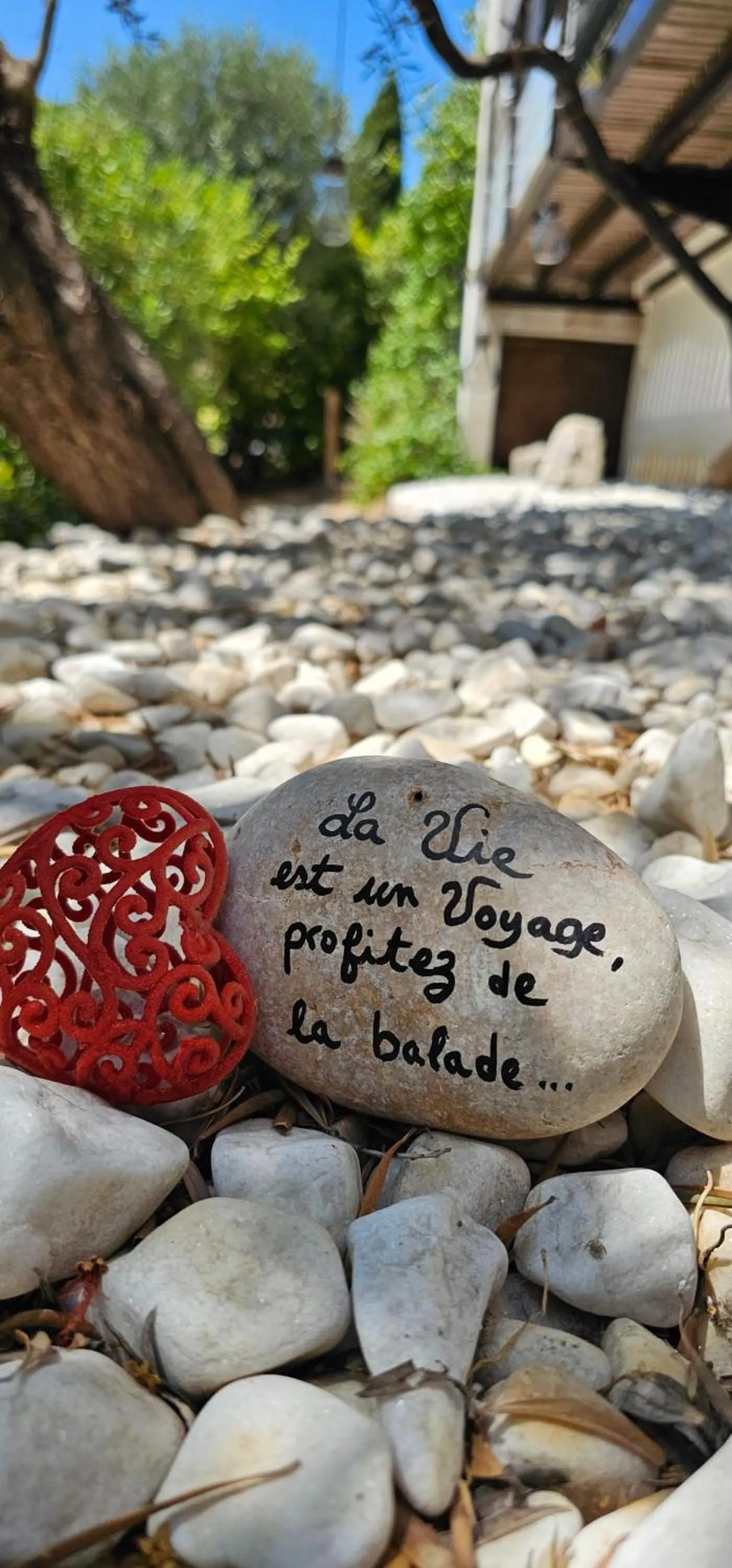Chambre d'hôte Cigale jacuzzi et jardin privé
