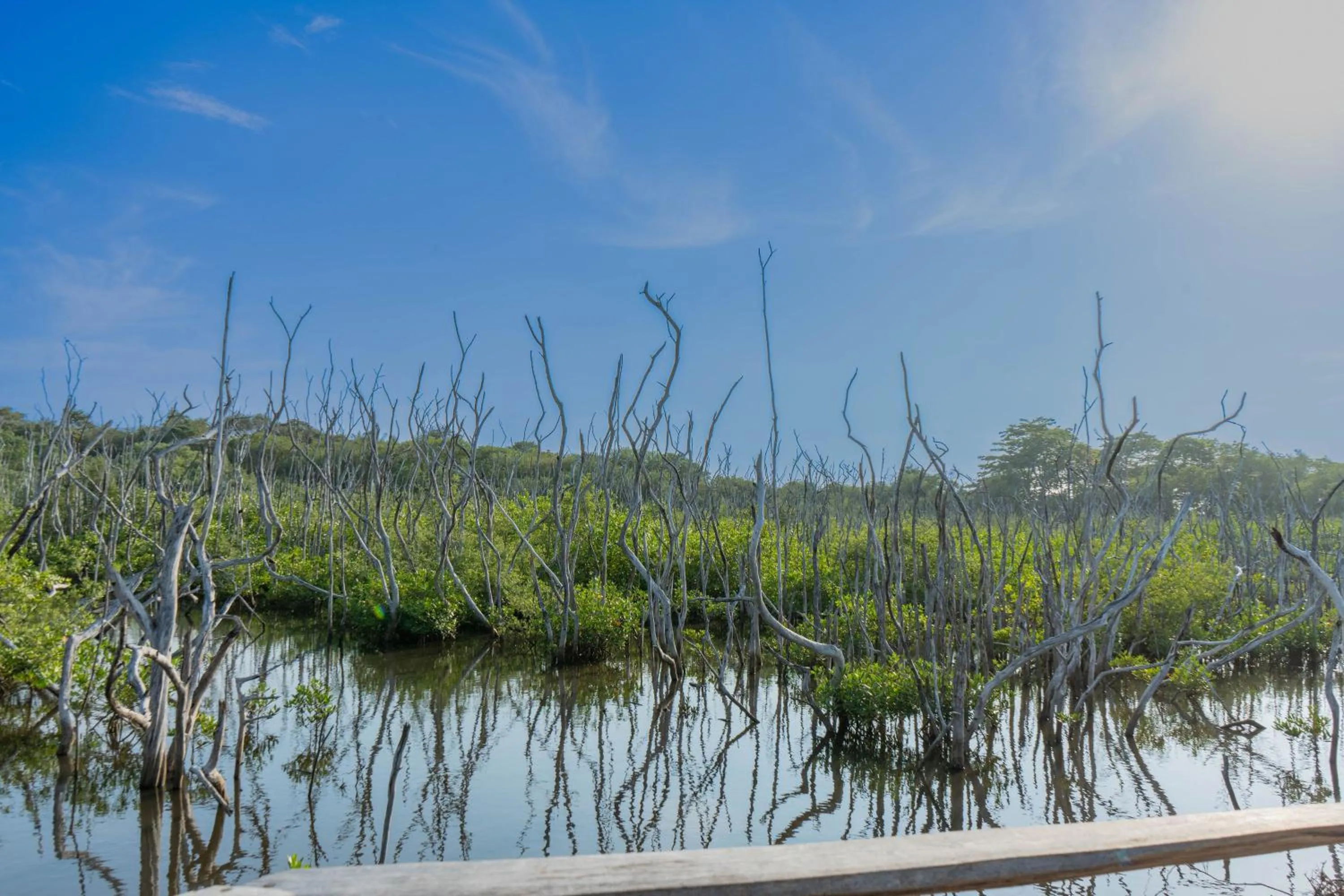 Day in Villas VR Beachwalk Avellanas