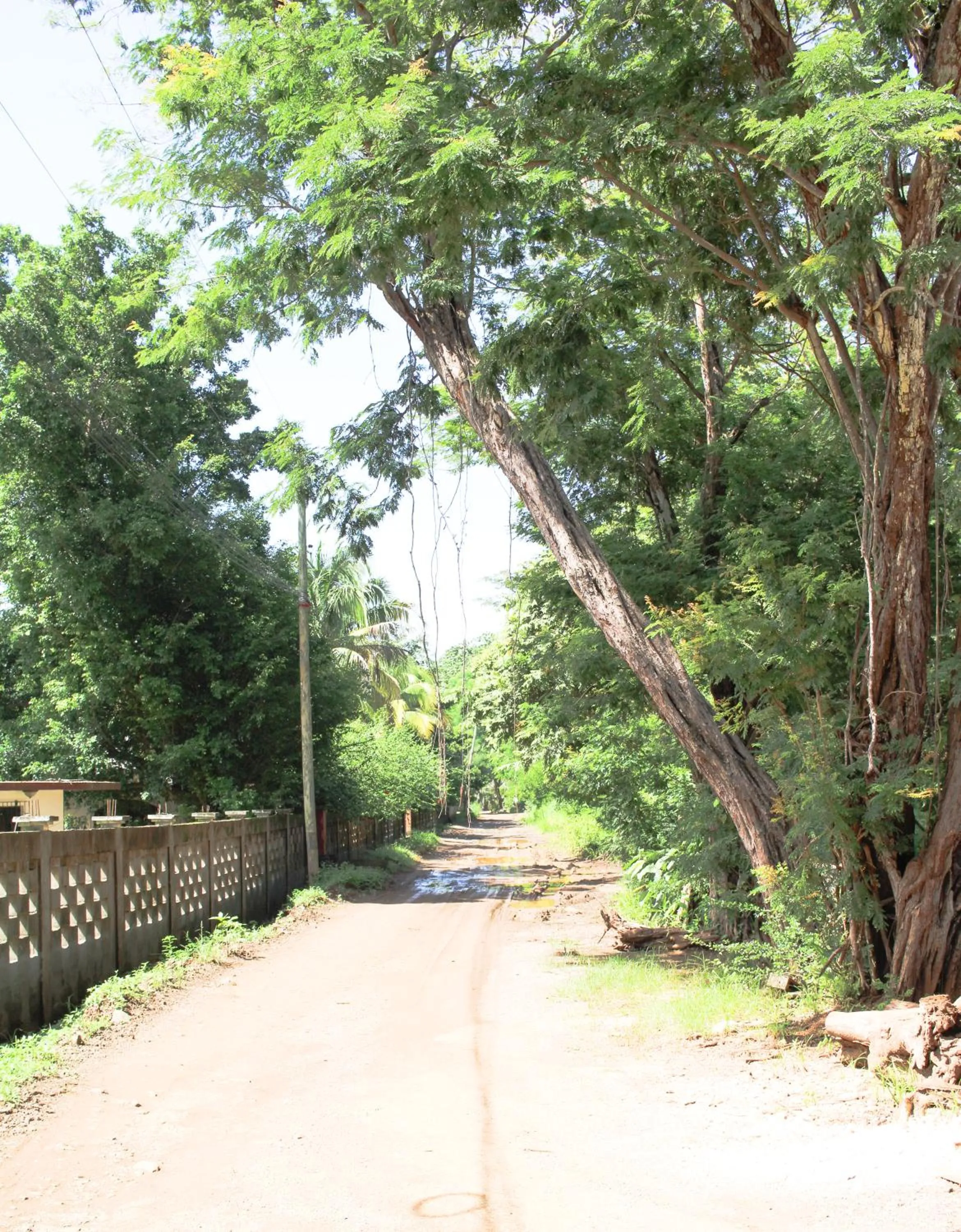 Neighbourhood in Villas VR Beachwalk Avellanas