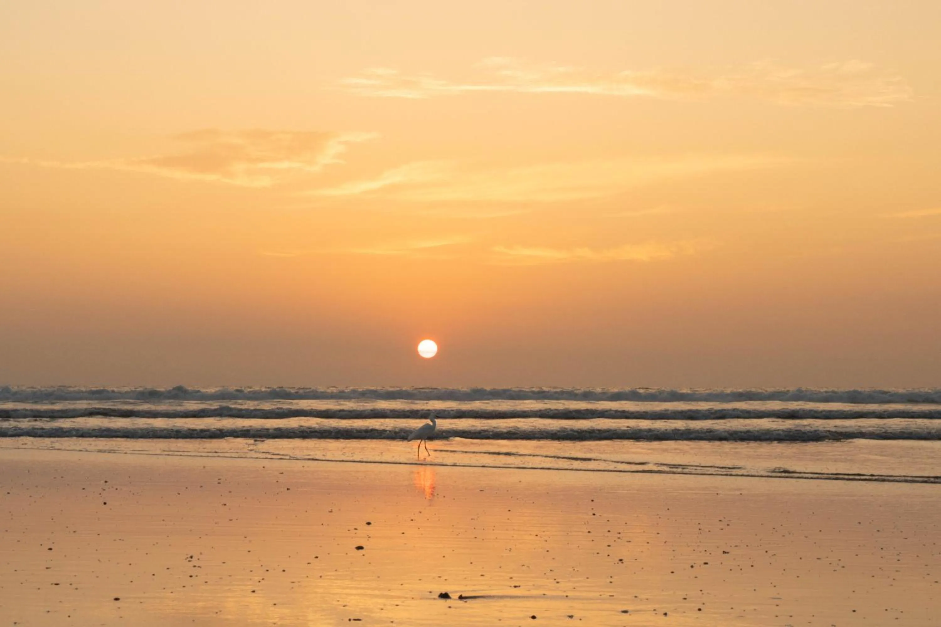 Natural landscape in Villas VR Beachwalk Avellanas