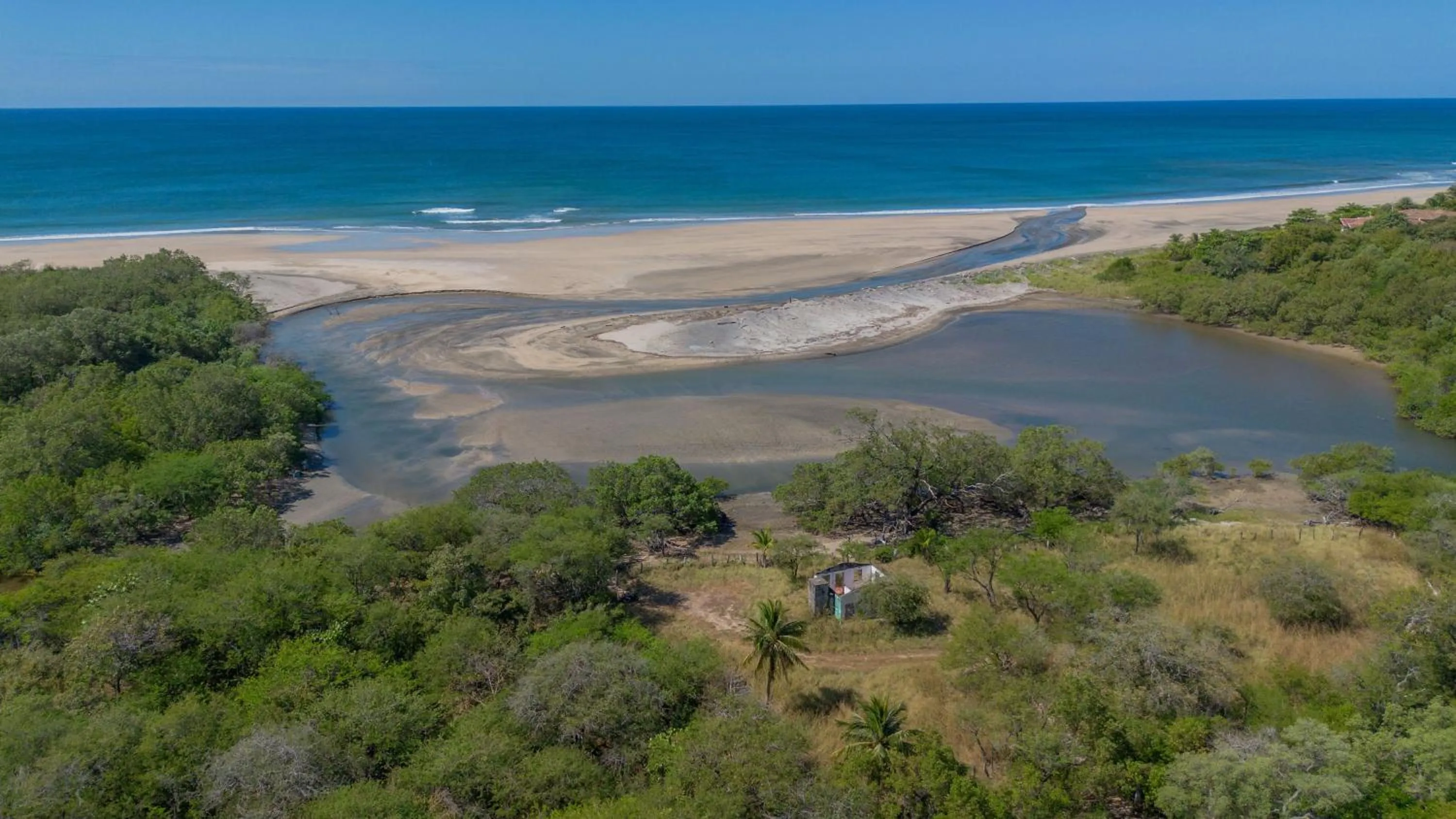 Natural landscape in Villas VR Beachwalk Avellanas