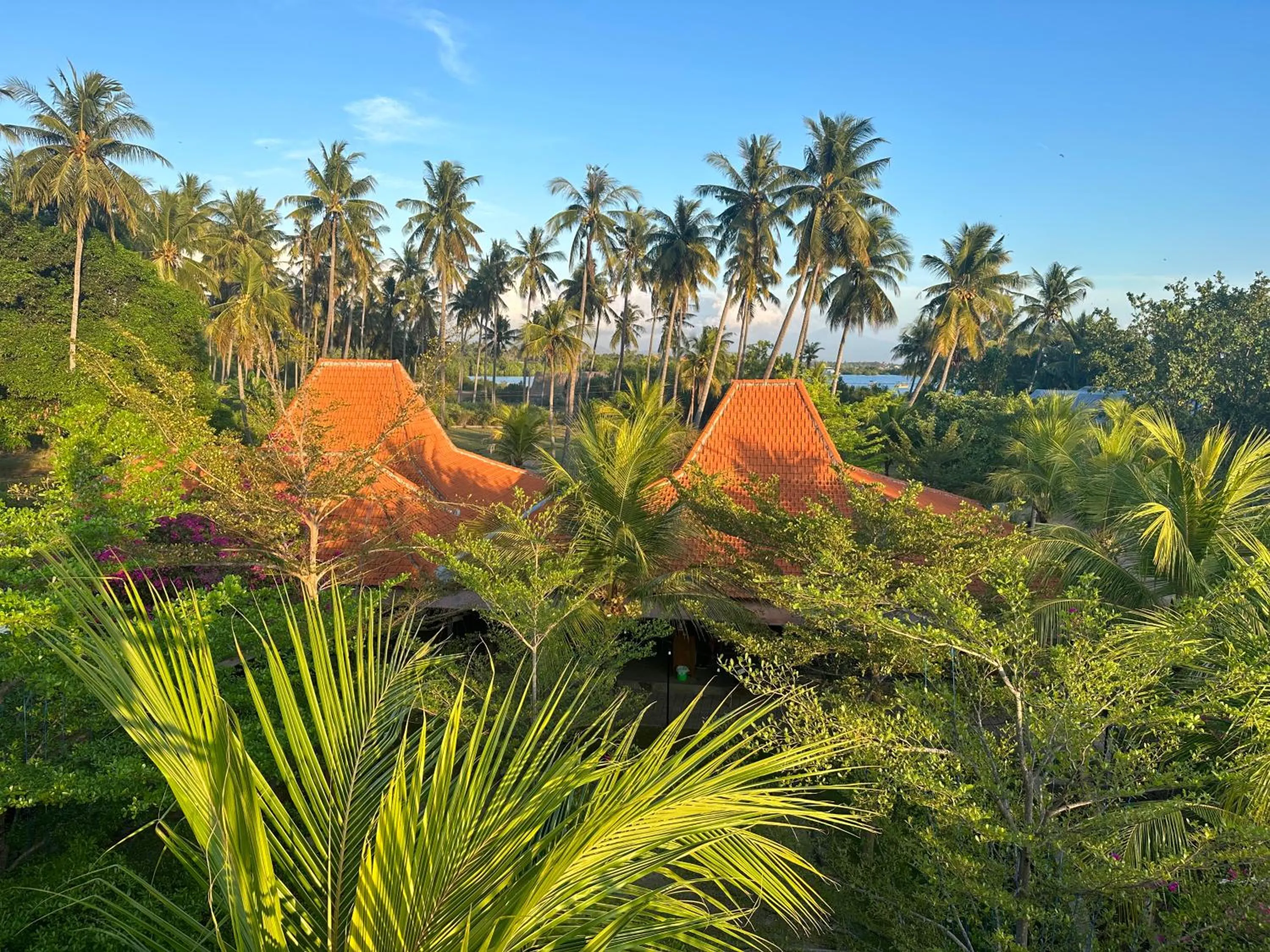 View (from property/room) in Mangroove Bay Boutique Hostel
