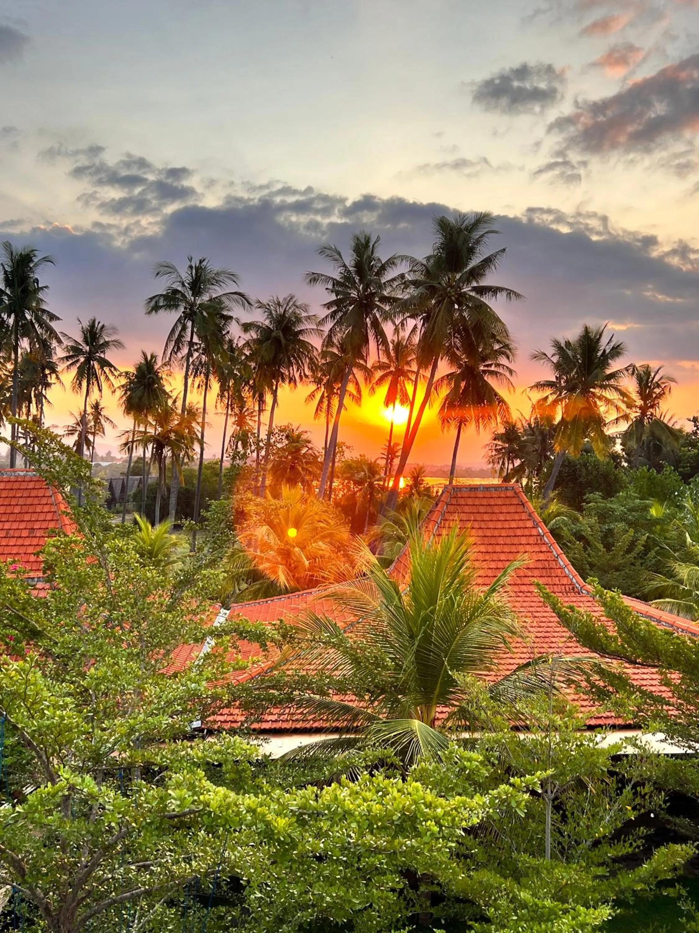 Natural landscape in Mangroove Bay Boutique Hostel