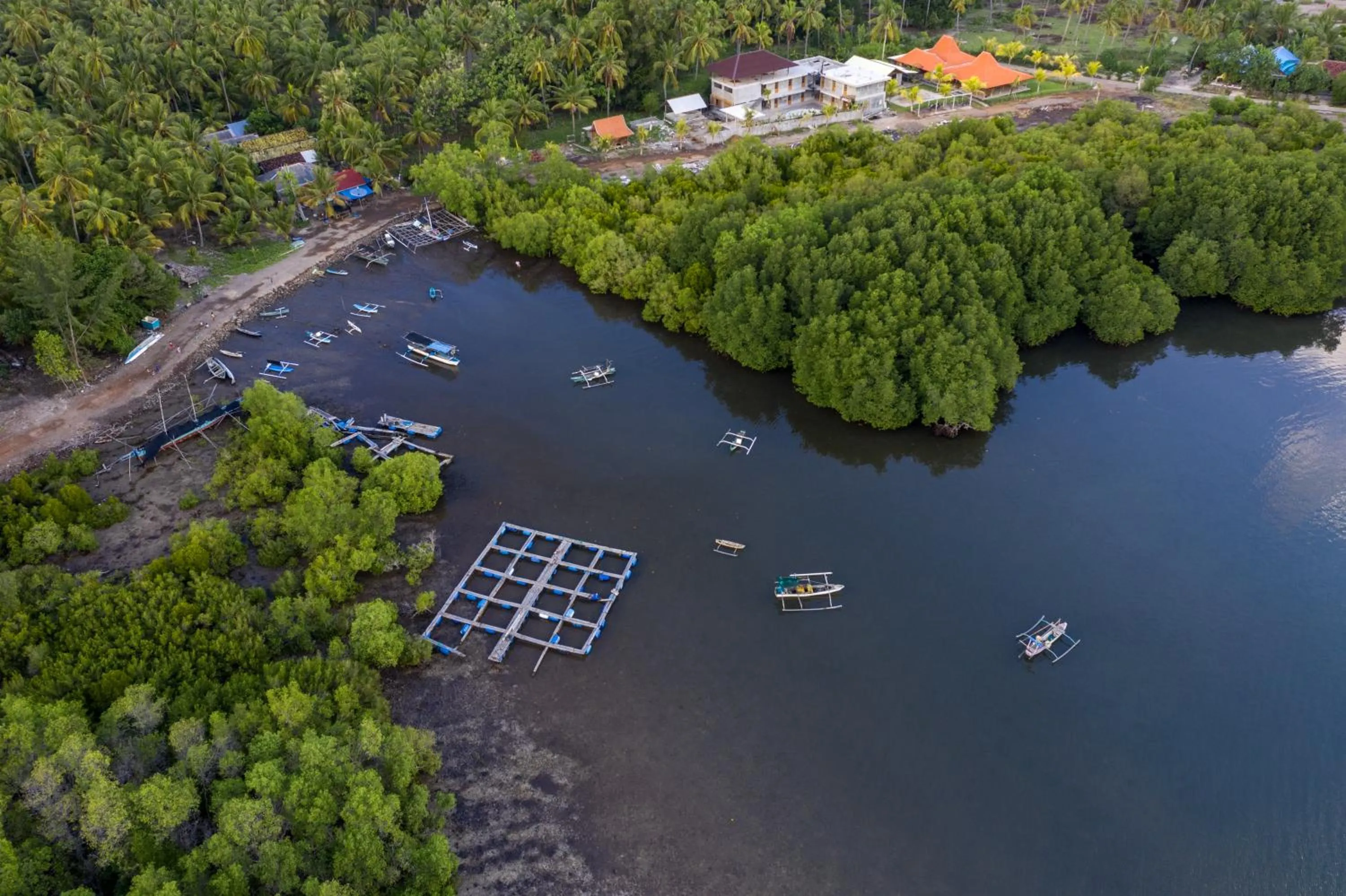 Natural landscape in Mangroove Bay Boutique Hostel