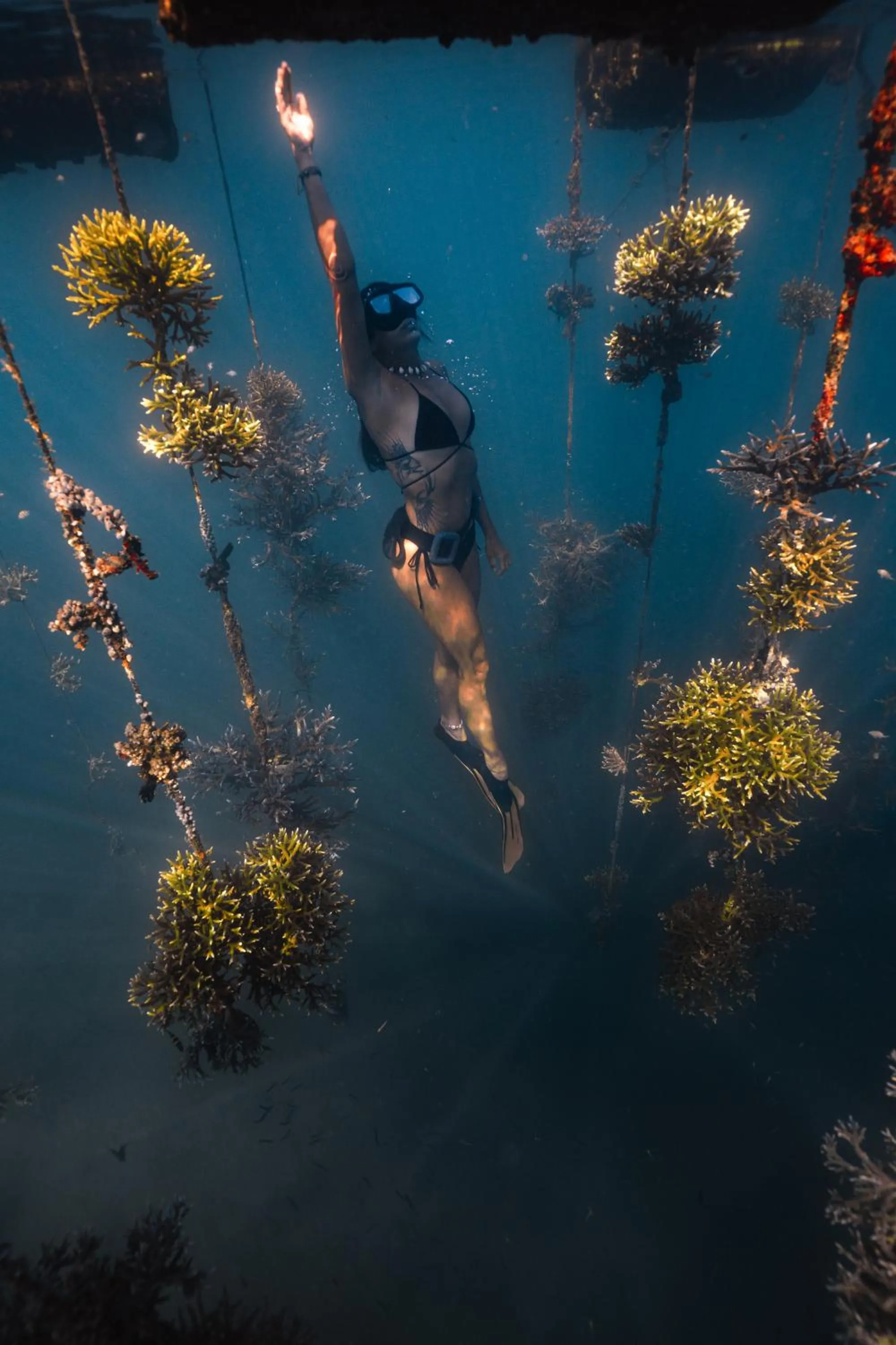 Natural landscape in Mangroove Bay Boutique Hostel