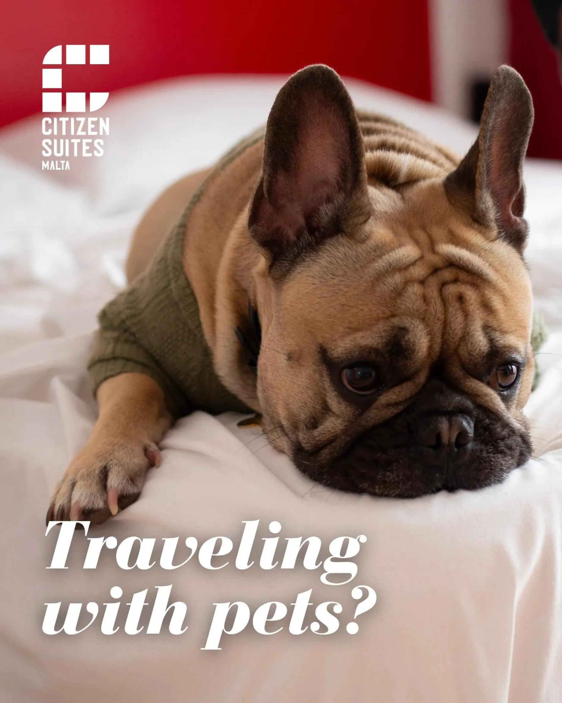 pet friendly in Citizen Suites