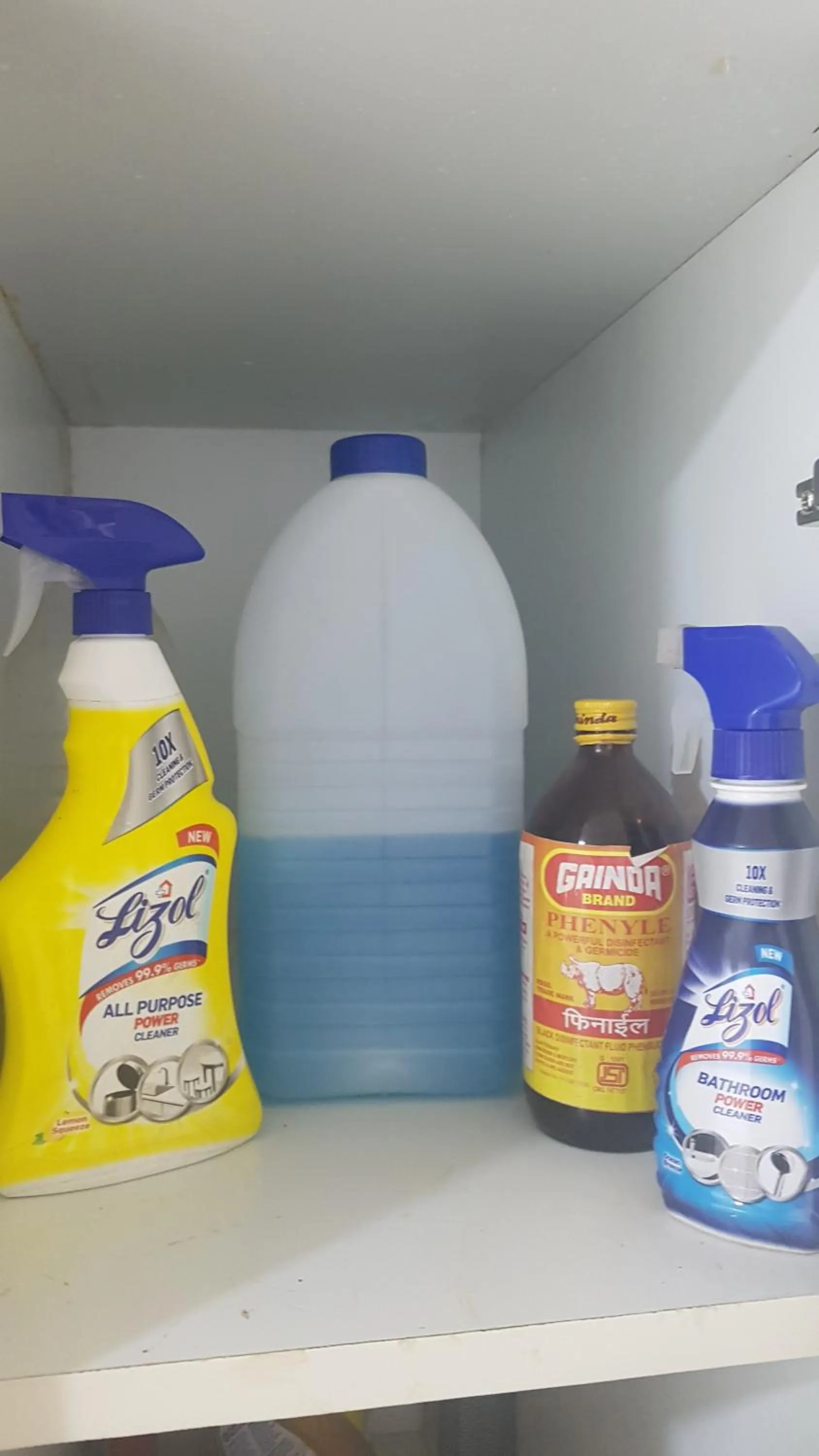 Property building in SUKH PALACE