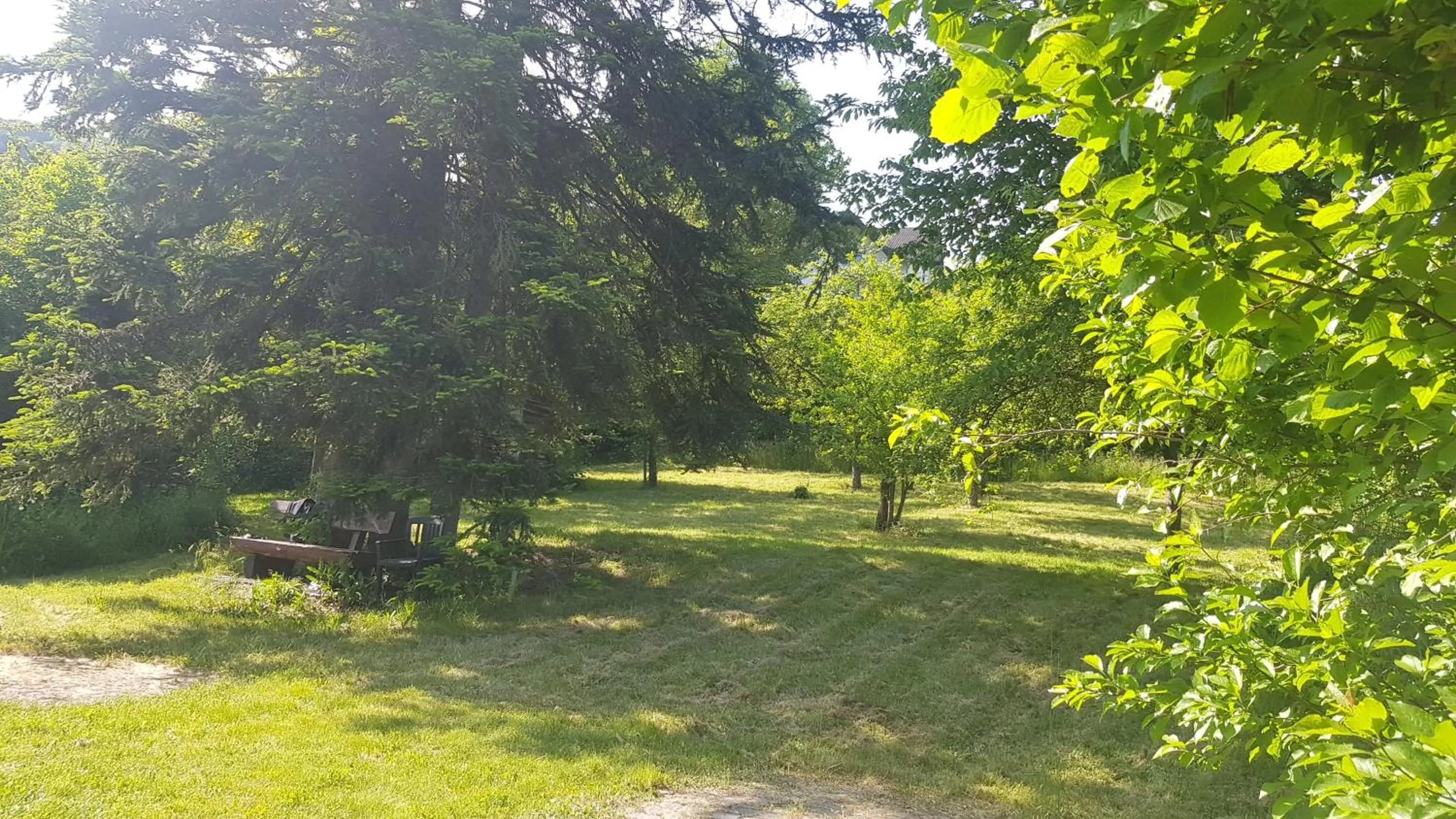 Garden in Hotel zur Post 3 Sterne superior