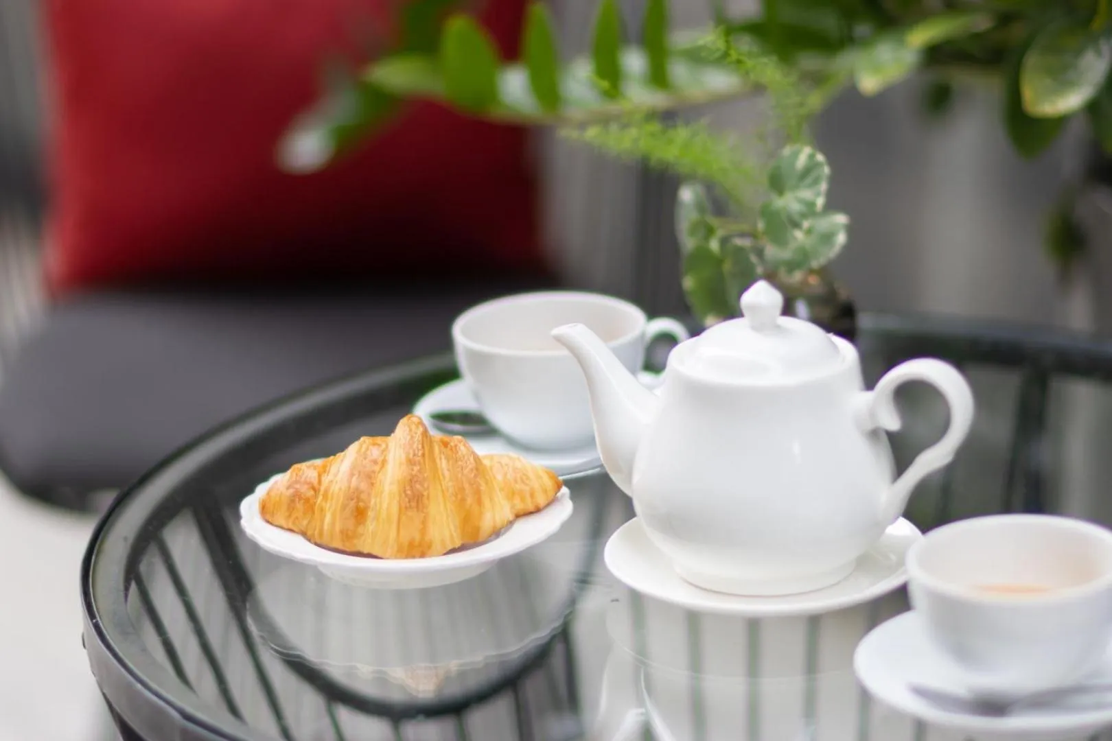 Area and facilities in Blue Hippo Hotel