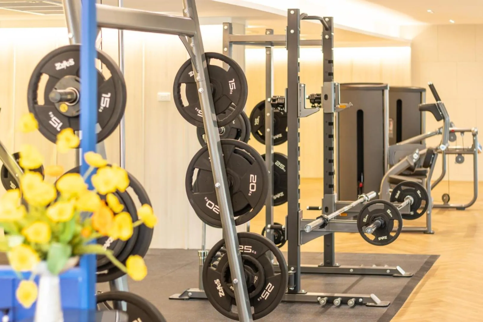 Fitness centre/facilities in Blue Hippo Hotel