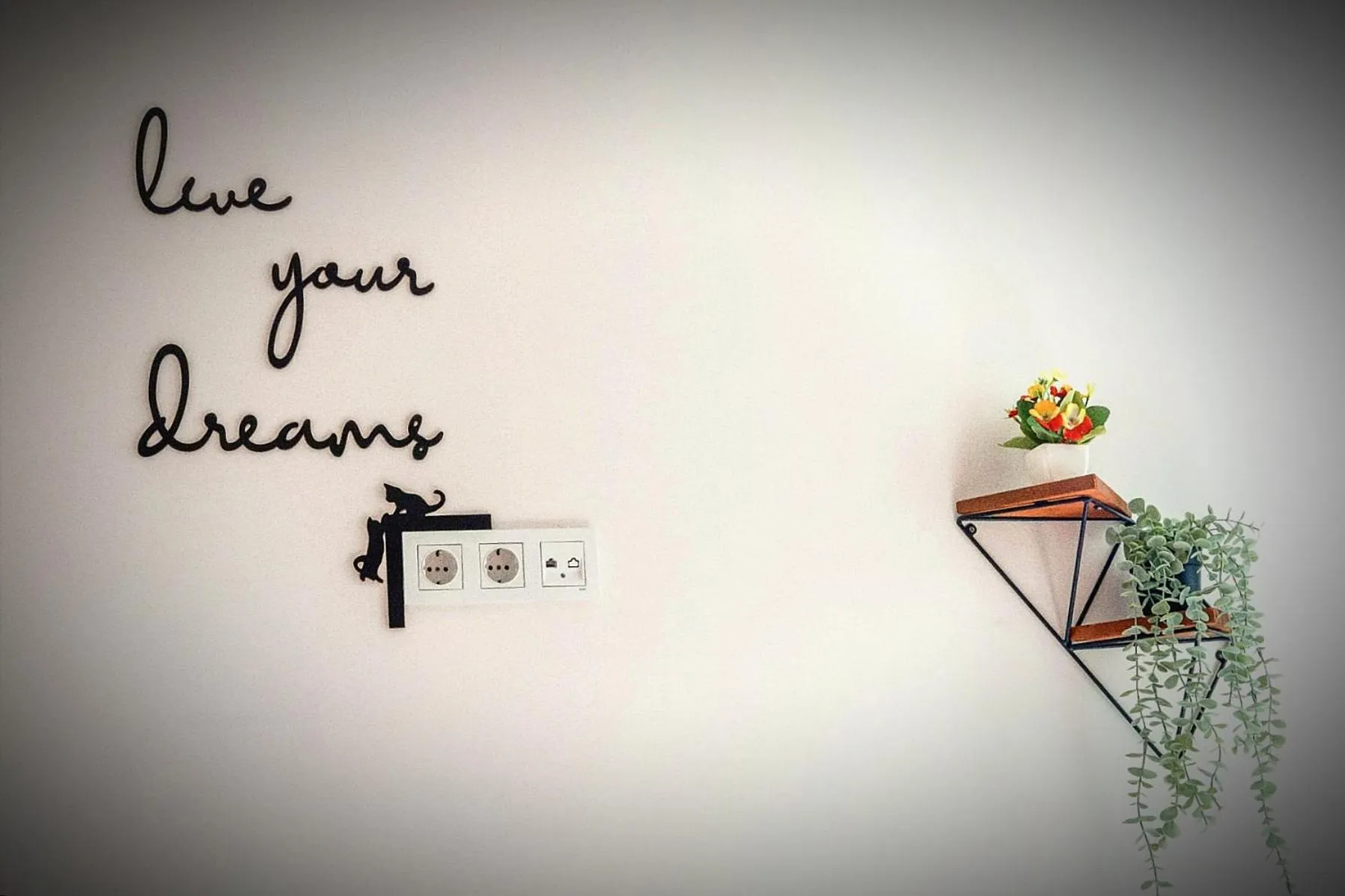 Decorative detail in Manu Startup House