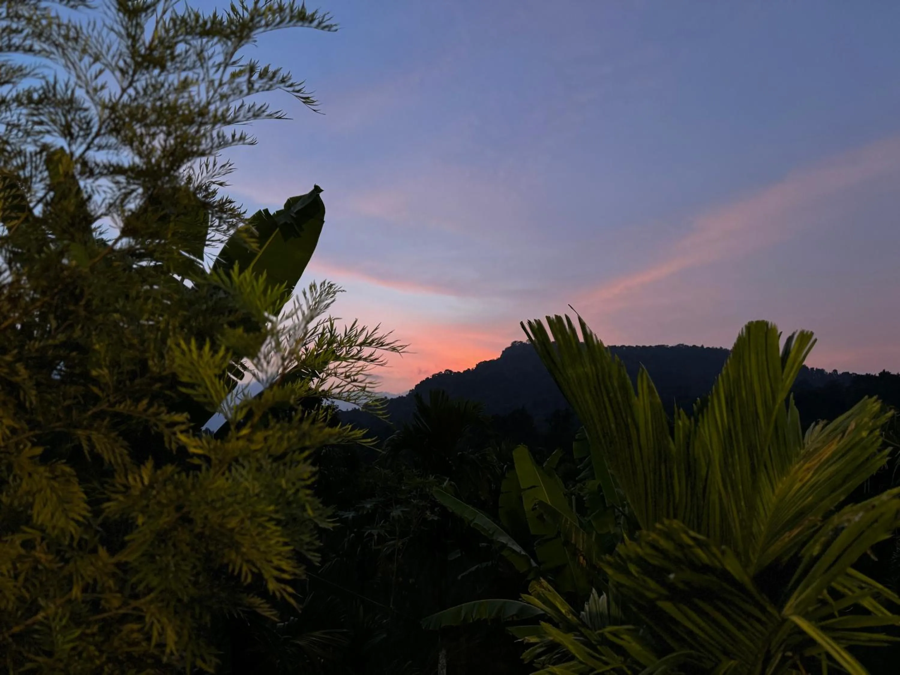 Natural landscape in Bendheka - Cliff Front Cottages Coorg
