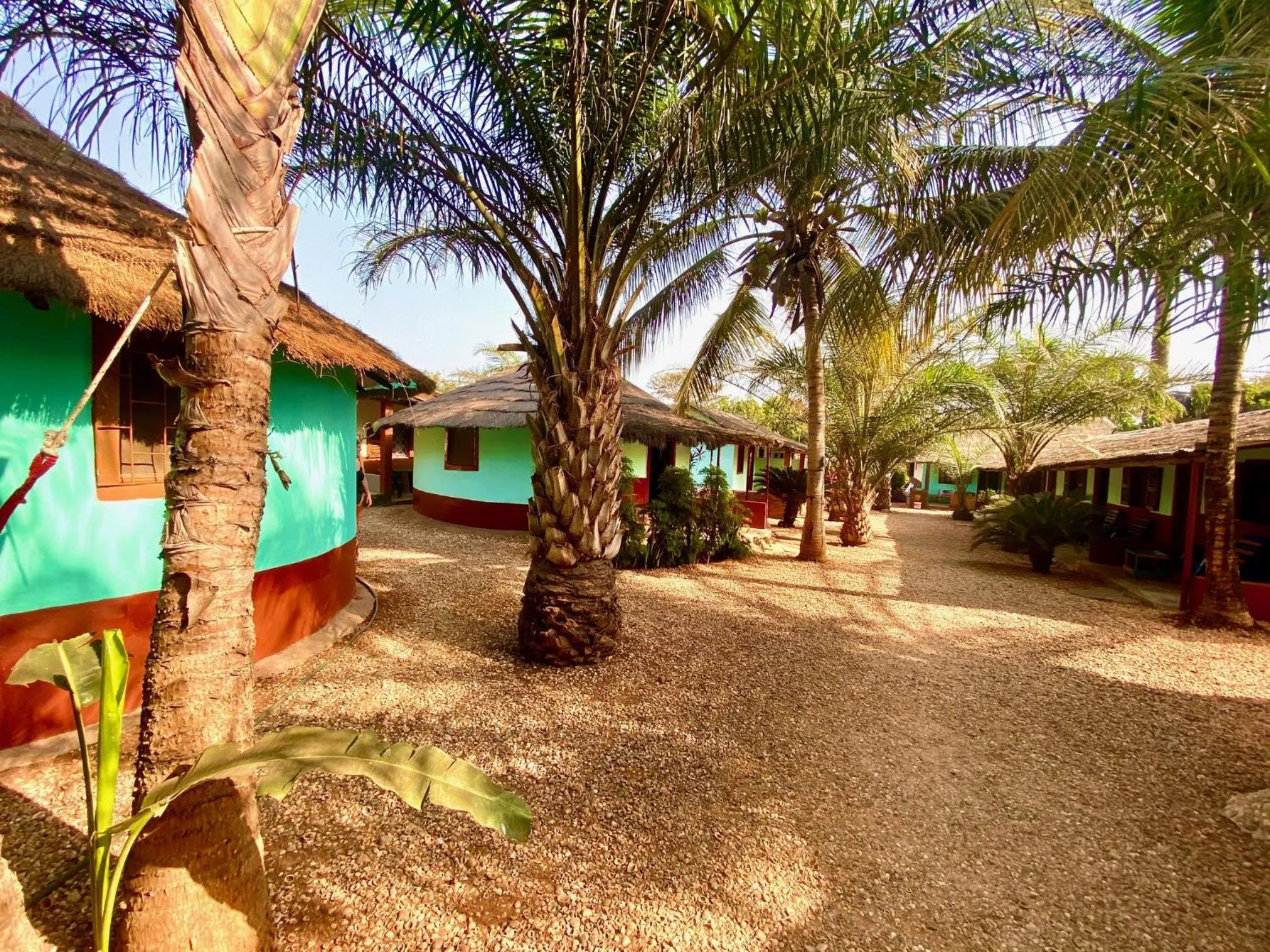 MANGO LODGE