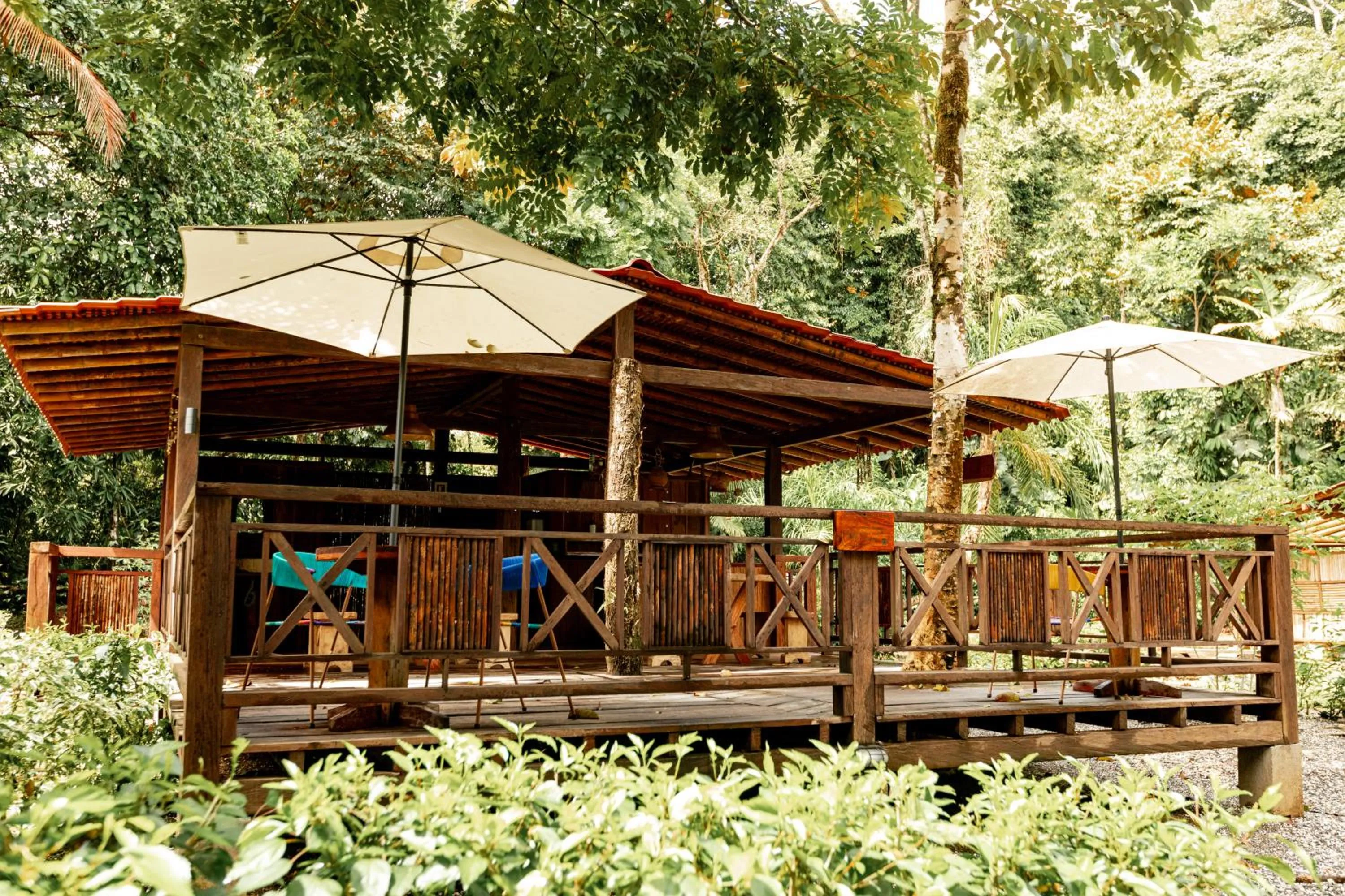 Lounge or bar in La Martina Ecolodge
