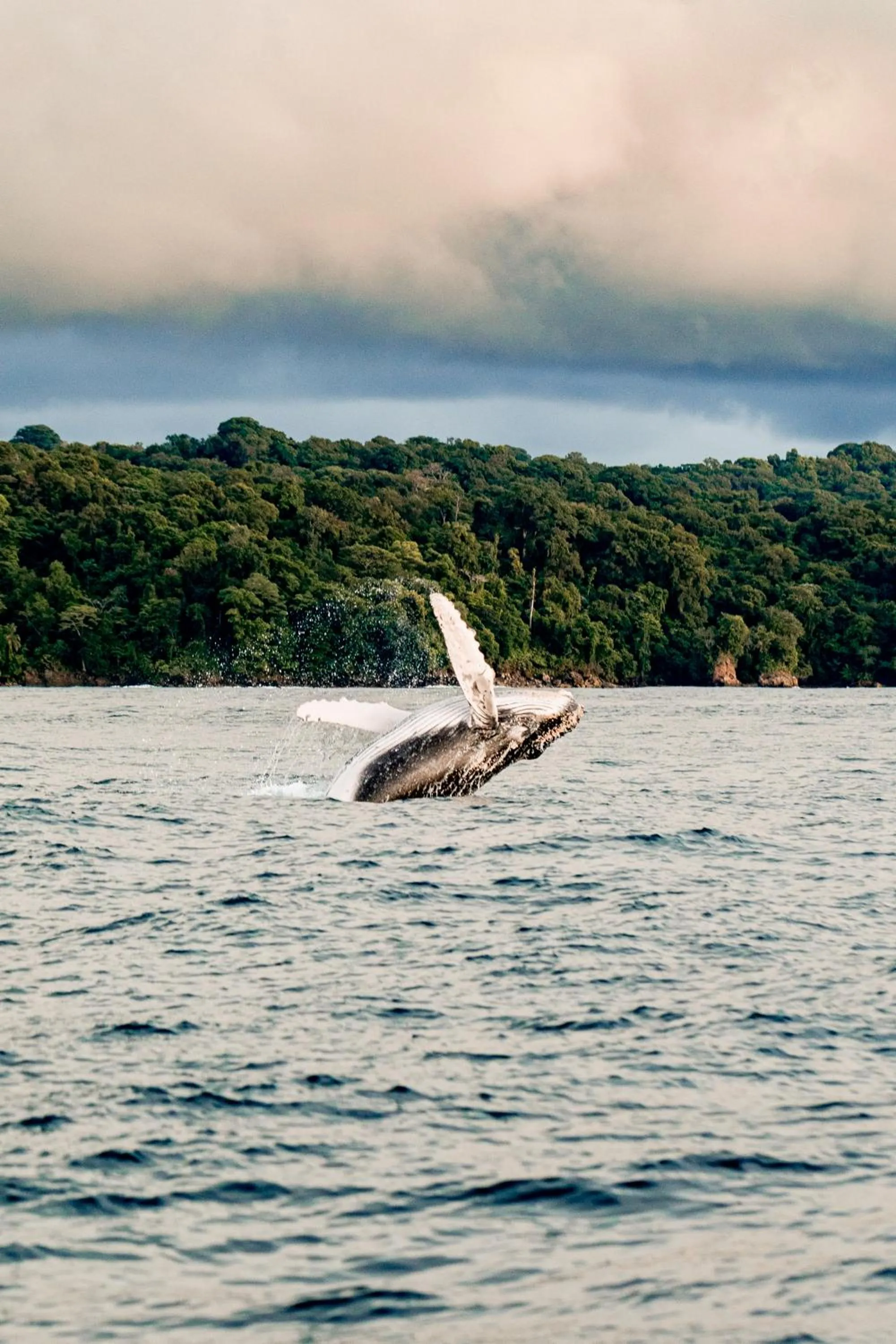 Activities in La Martina Ecolodge