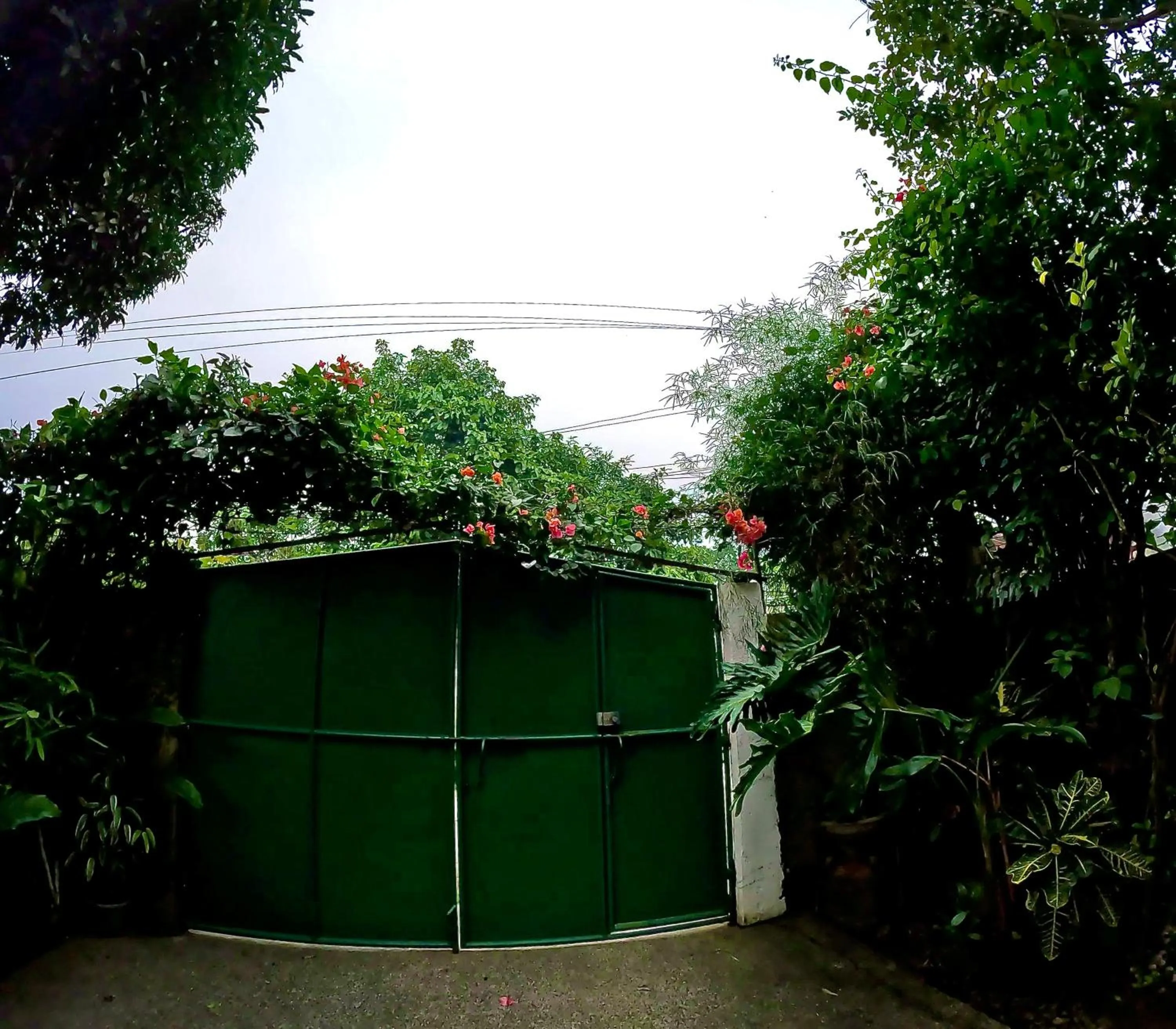 Natural landscape in Auntie Gigi's Place