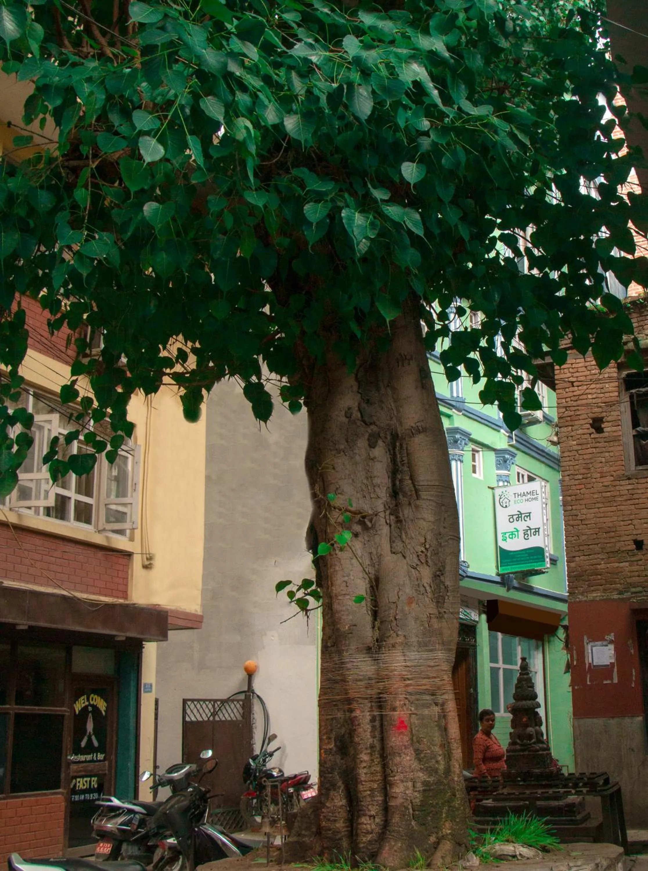Street view in Thamel Eco Home