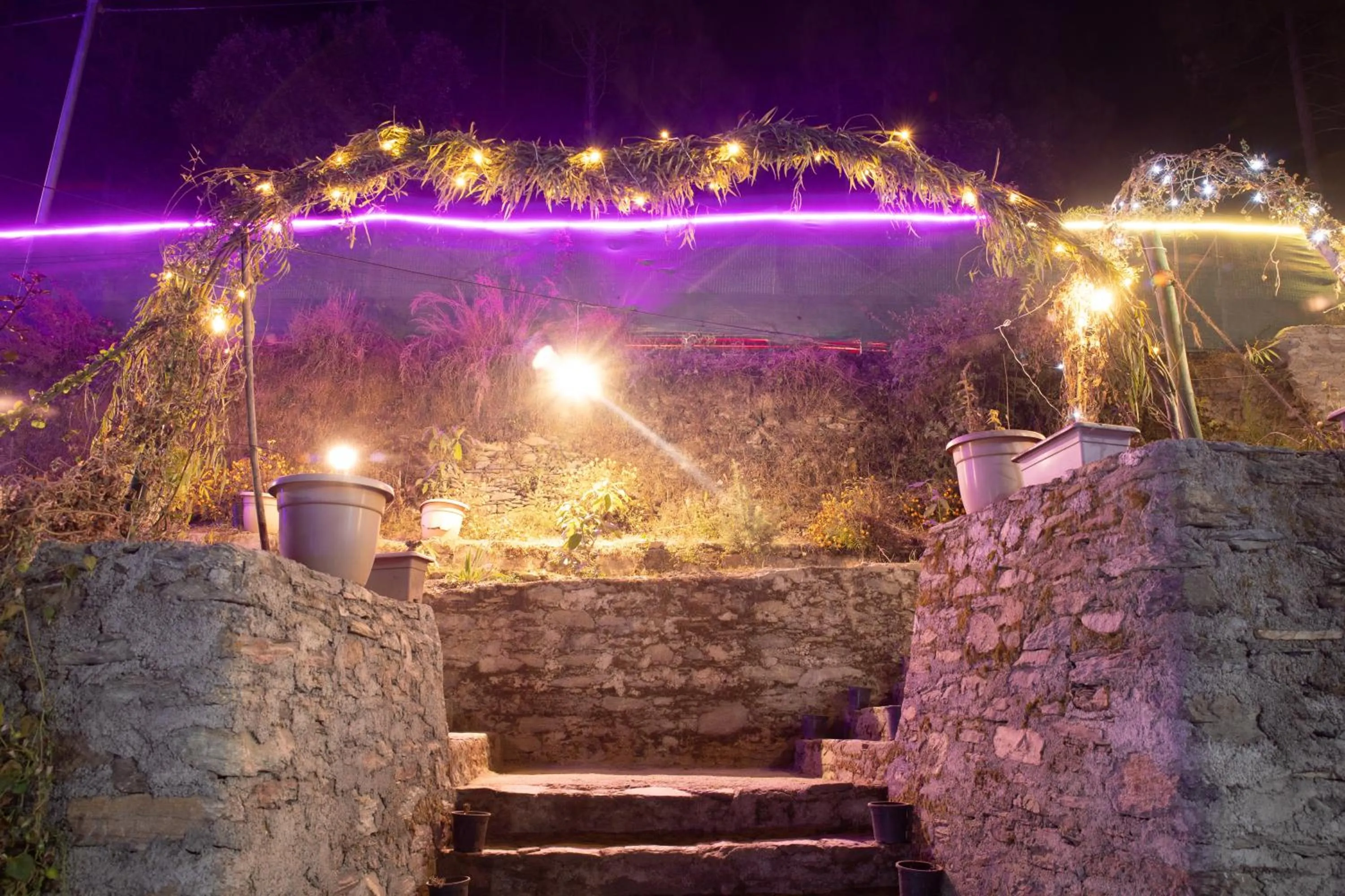 Night in Blossom Bliss Resort