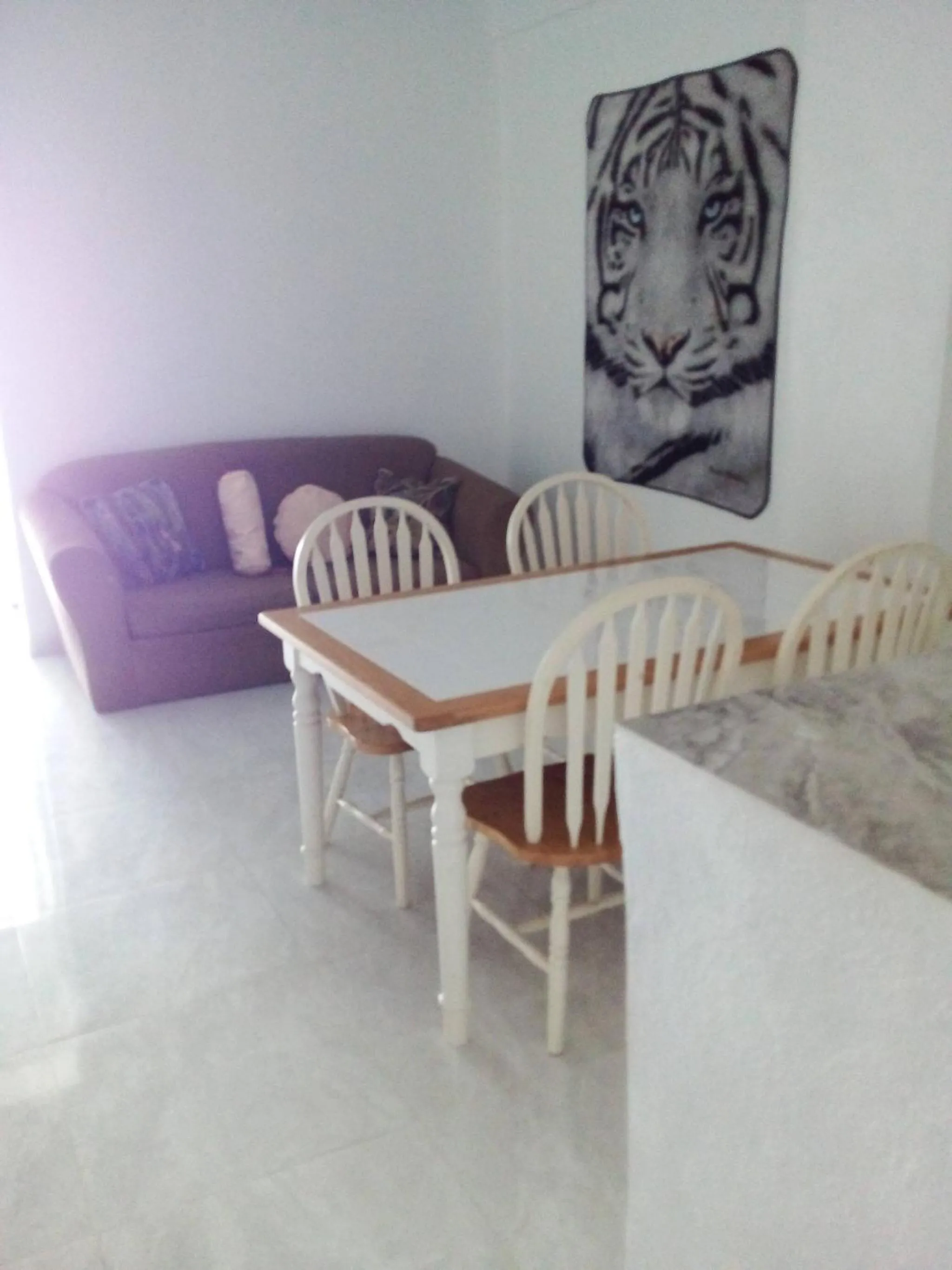 Appart hotel Veras Samana No 8