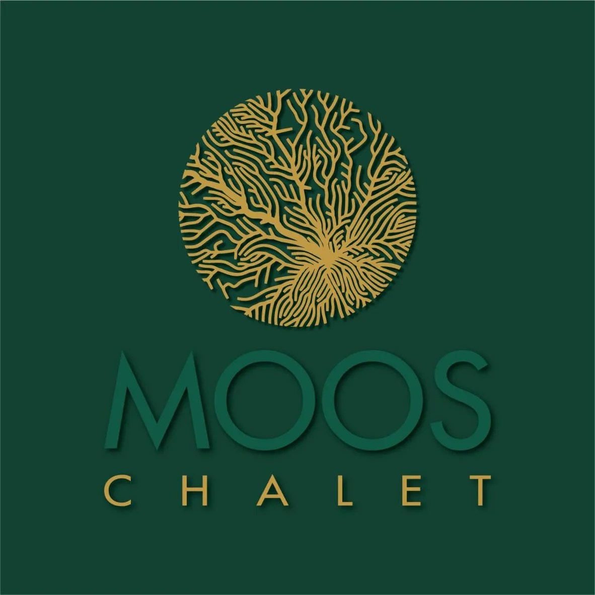 Chalet MOOS