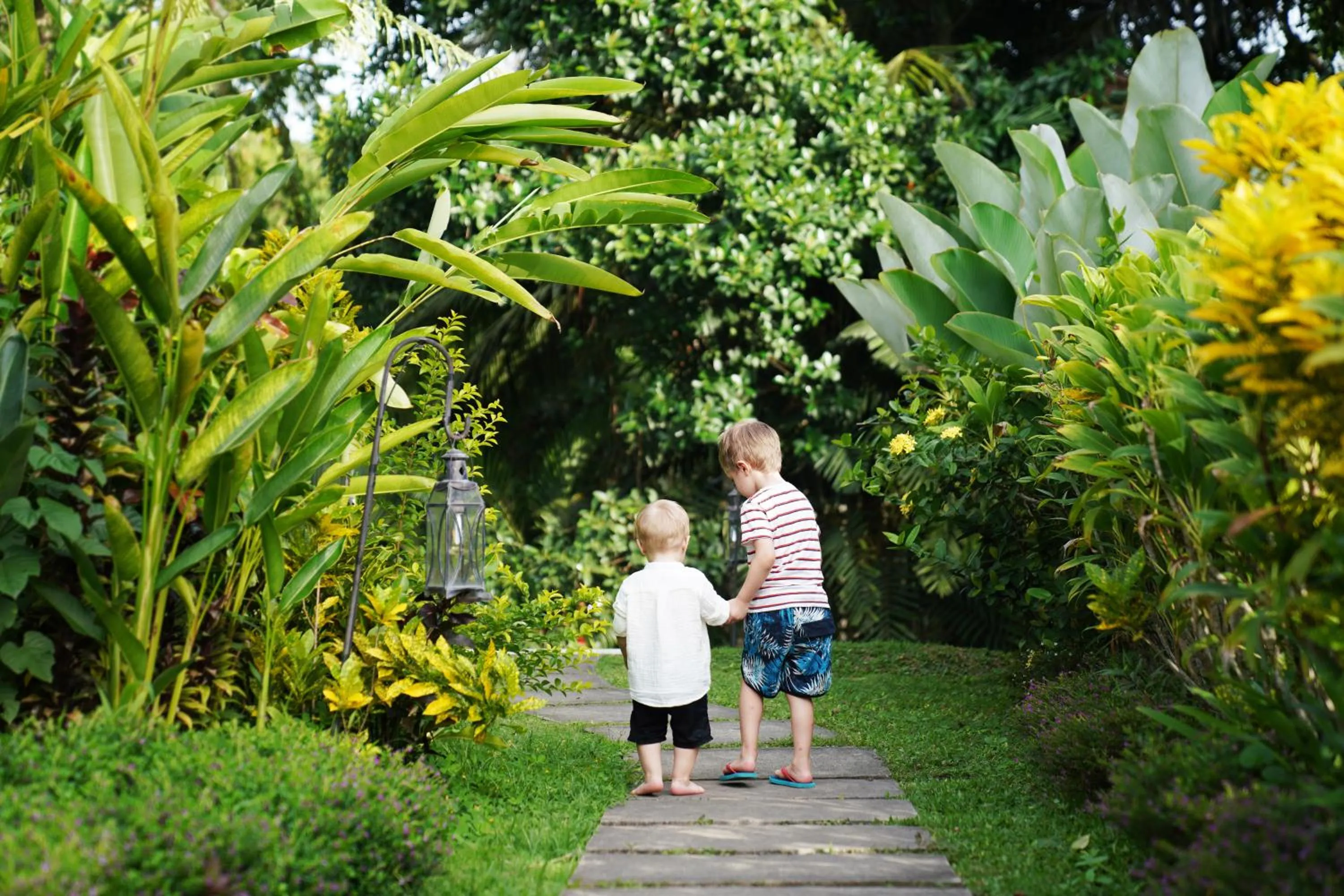 Garden in The White Villas Ubud