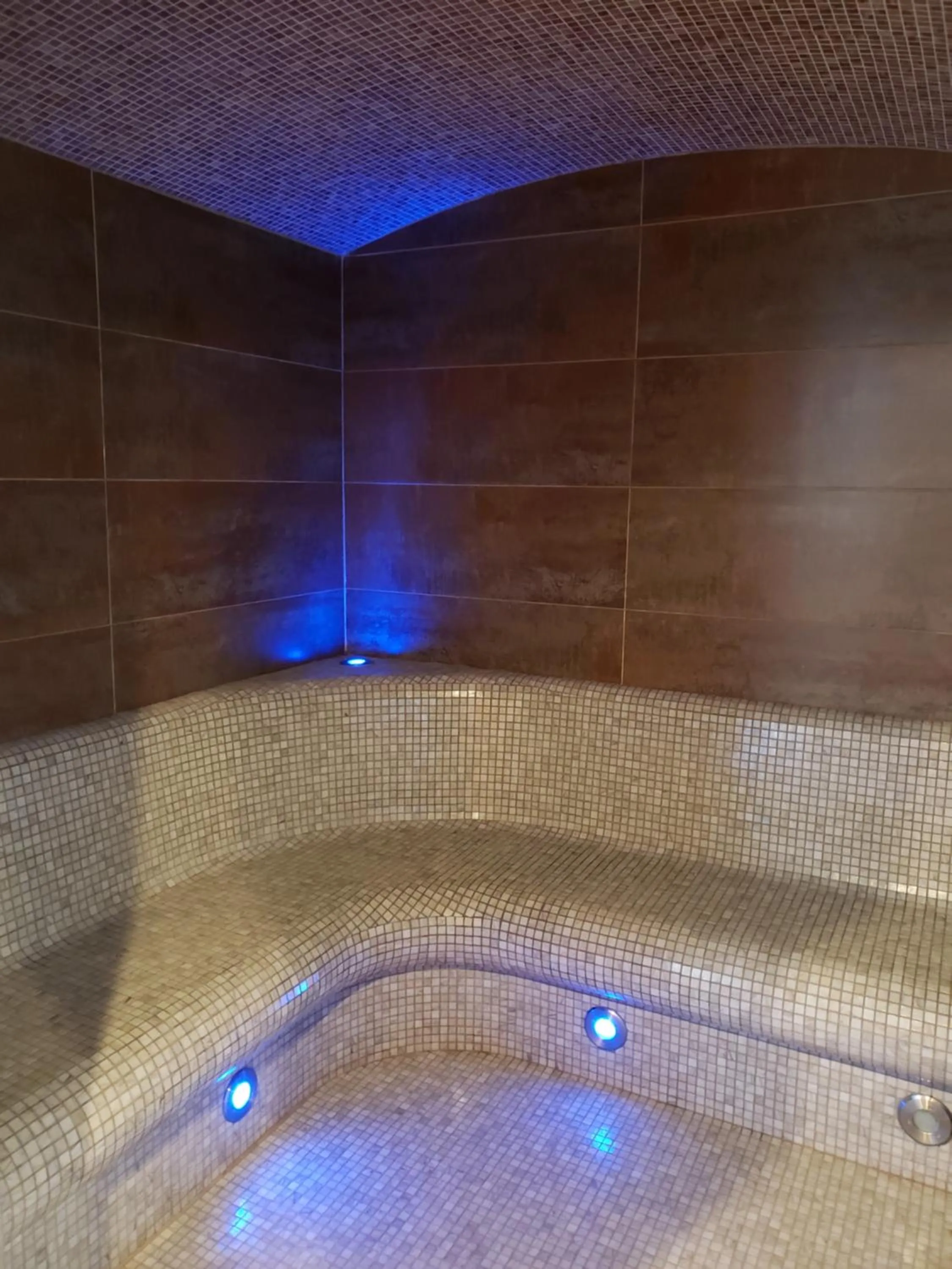 Steam room, Spa/Wellness in La Casa des Frangins