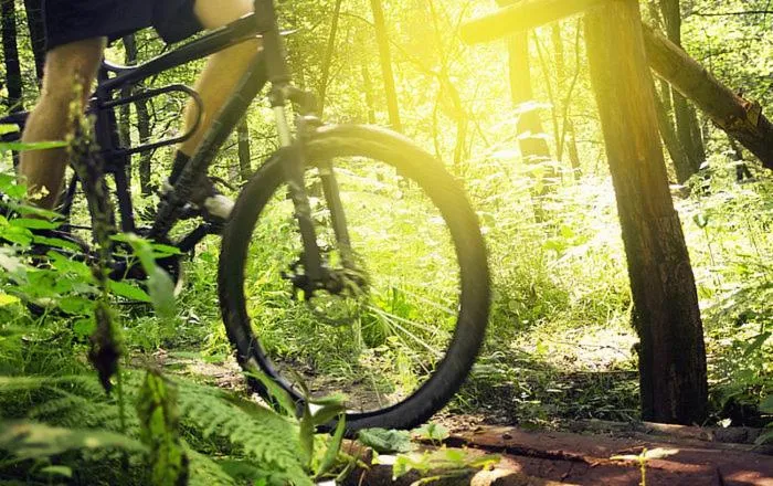 Cycling in HotelHafenWedel