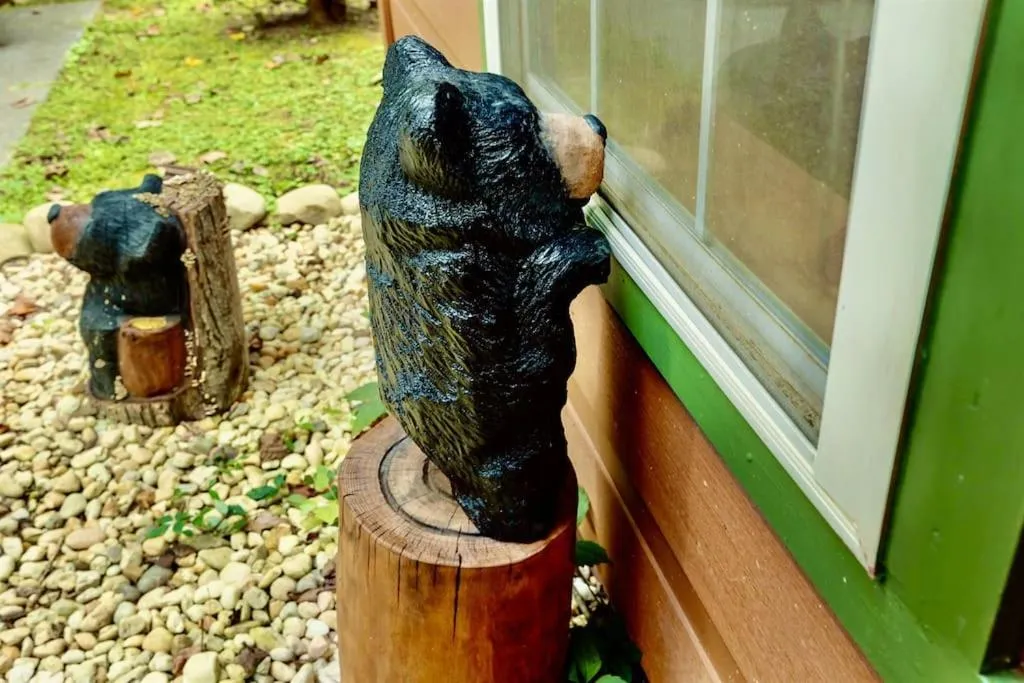 A Top Notch Lodge~Gatlinburg