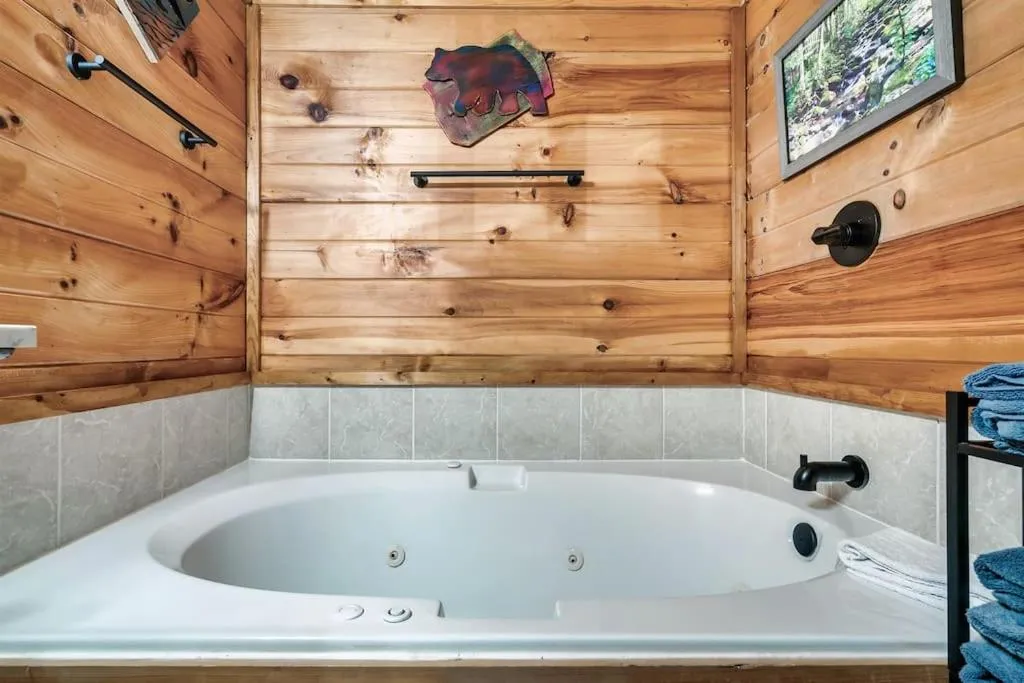 A Top Notch Lodge~Gatlinburg